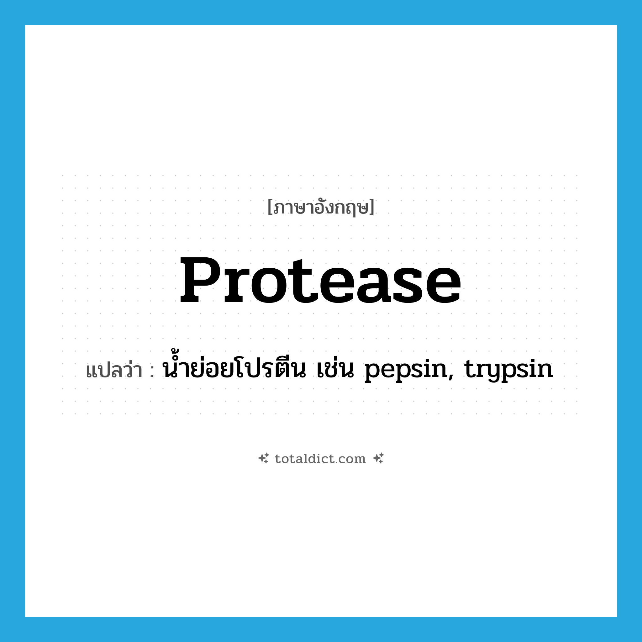 protease แปลว่า?, คำศัพท์ภาษาอังกฤษ protease แปลว่า น้ำย่อยโปรตีน เช่น pepsin, trypsin ประเภท N หมวด N