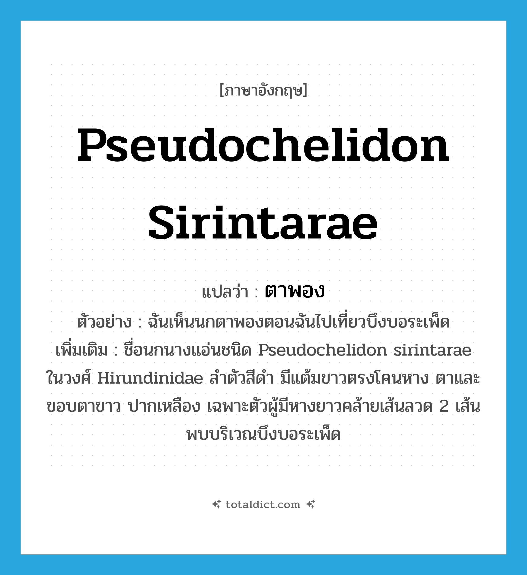 Pseudochelidon sirintarae แปลว่า?, คำศัพท์ภาษาอังกฤษ Pseudochelidon sirintarae แปลว่า ตาพอง ประเภท N ตัวอย่าง ฉันเห็นนกตาพองตอนฉันไปเที่ยวบึงบอระเพ็ด เพิ่มเติม ชื่อนกนางแอ่นชนิด Pseudochelidon sirintarae ในวงศ์ Hirundinidae ลำตัวสีดำ มีแต้มขาวตรงโคนหาง ตาและขอบตาขาว ปากเหลือง เฉพาะตัวผู้มีหางยาวคล้ายเส้นลวด 2 เส้น พบบริเวณบึงบอระเพ็ด หมวด N
