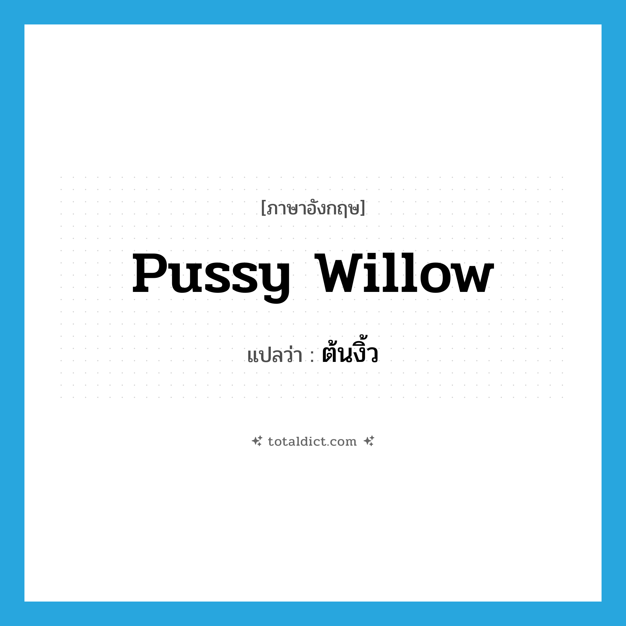 pussy willow แปลว่า?, คำศัพท์ภาษาอังกฤษ pussy willow แปลว่า ต้นงิ้ว ประเภท N หมวด N