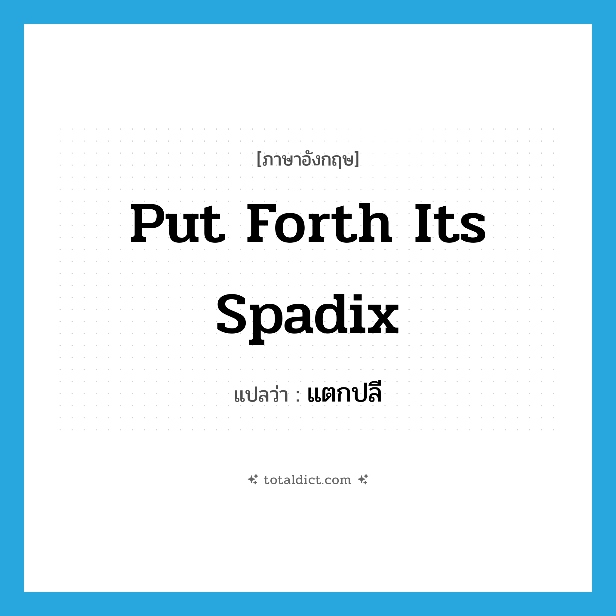put forth its spadix แปลว่า?, คำศัพท์ภาษาอังกฤษ put forth its spadix แปลว่า แตกปลี ประเภท V หมวด V