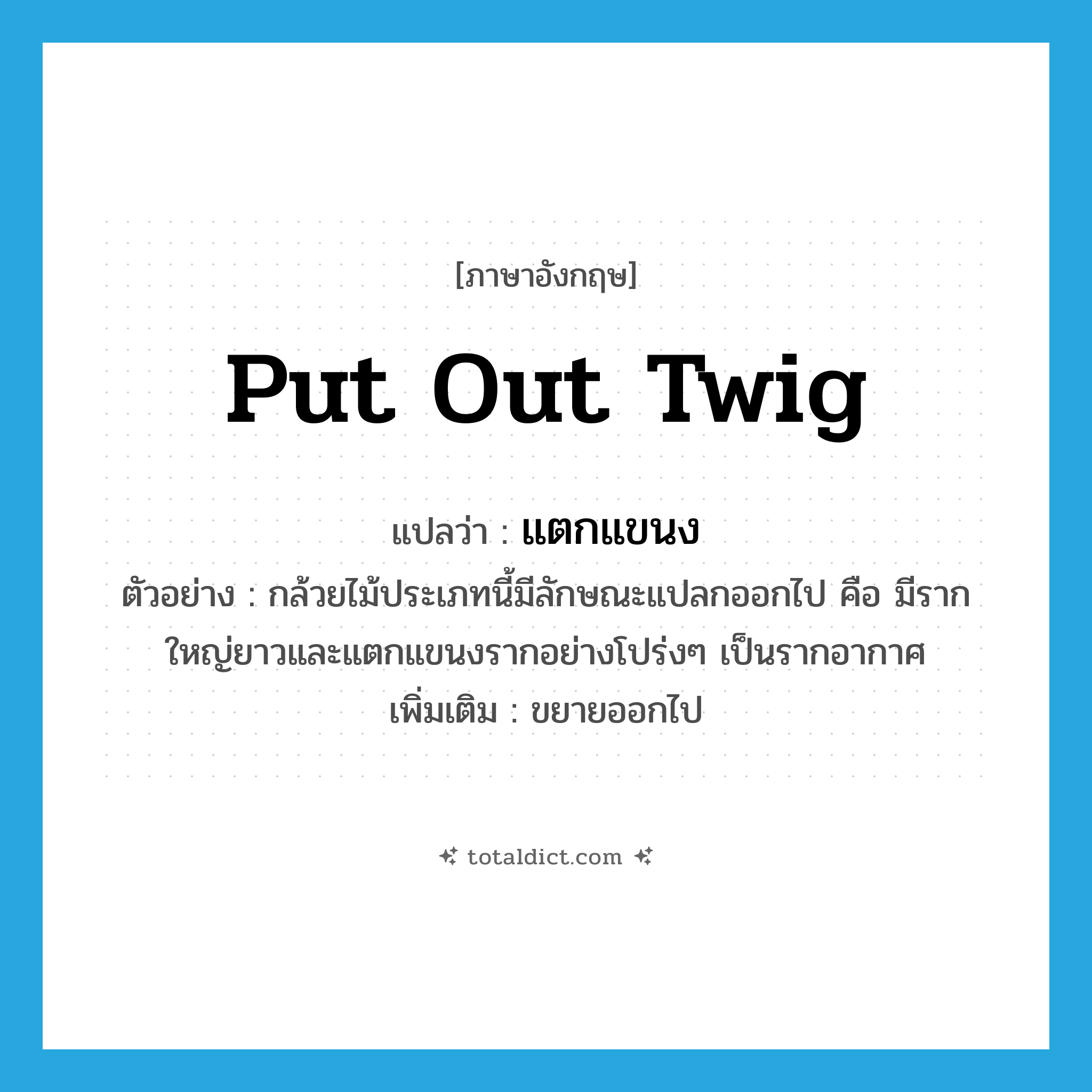 put out twig แปลว่า?, คำศัพท์ภาษาอังกฤษ put out twig แปลว่า แตกแขนง ประเภท V ตัวอย่าง กล้วยไม้ประเภทนี้มีลักษณะแปลกออกไป คือ มีรากใหญ่ยาวและแตกแขนงรากอย่างโปร่งๆ เป็นรากอากาศ เพิ่มเติม ขยายออกไป หมวด V