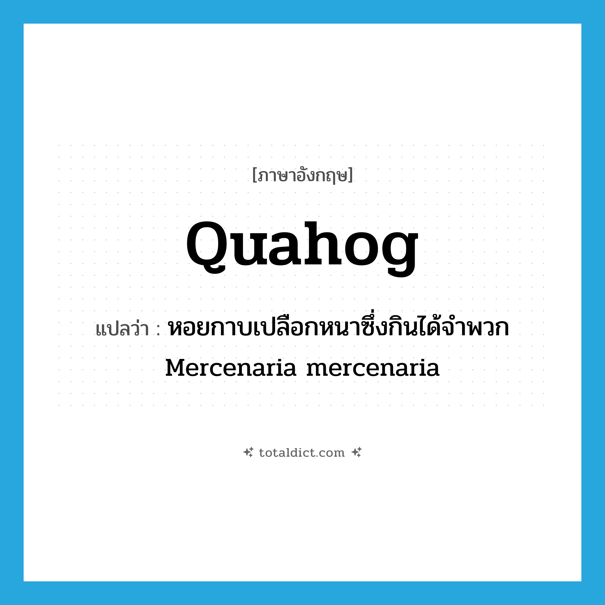 quahog แปลว่า?, คำศัพท์ภาษาอังกฤษ quahog แปลว่า หอยกาบเปลือกหนาซึ่งกินได้จำพวก Mercenaria mercenaria ประเภท N หมวด N