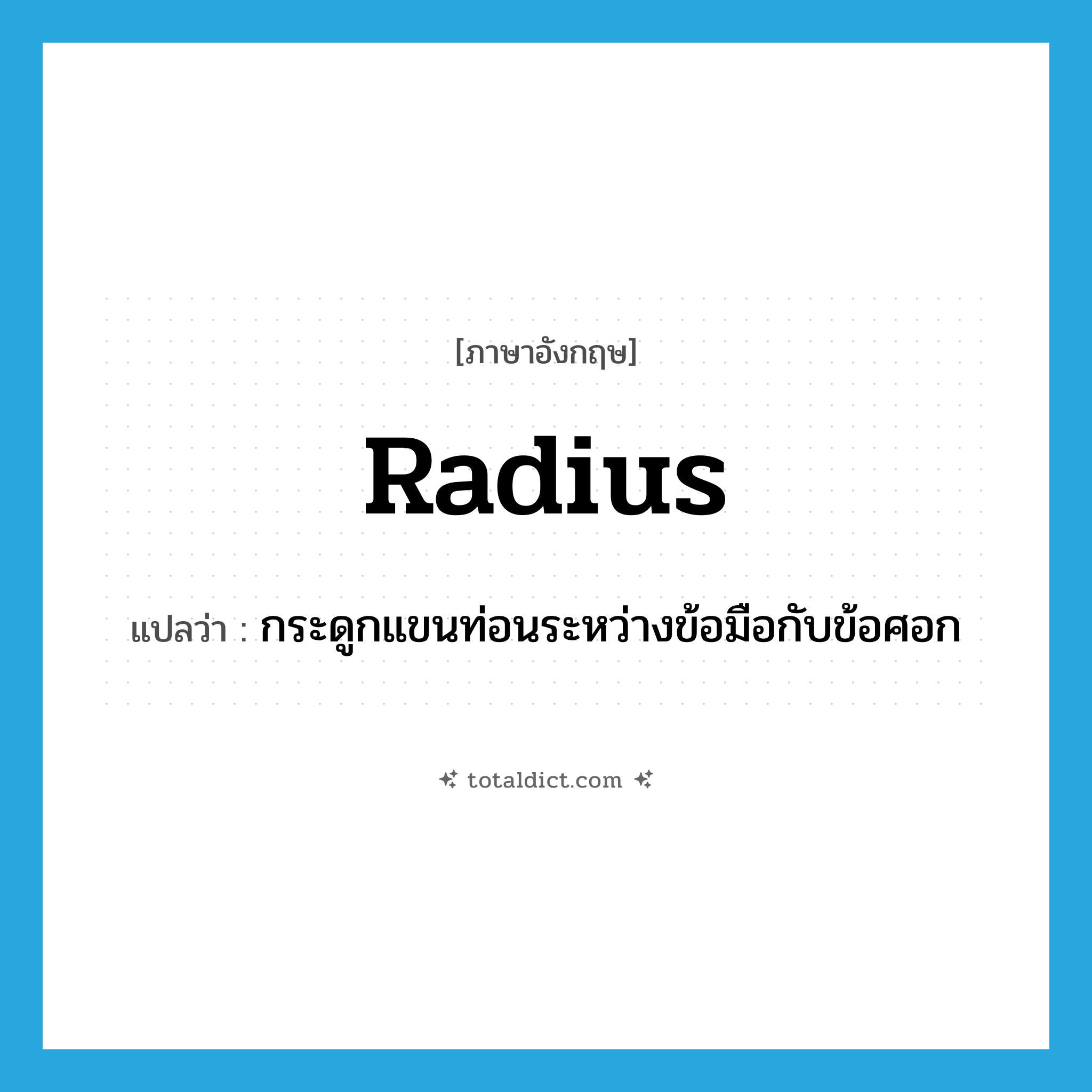 radius แปลว่า?, คำศัพท์ภาษาอังกฤษ radius แปลว่า กระดูกแขนท่อนระหว่างข้อมือกับข้อศอก ประเภท N หมวด N