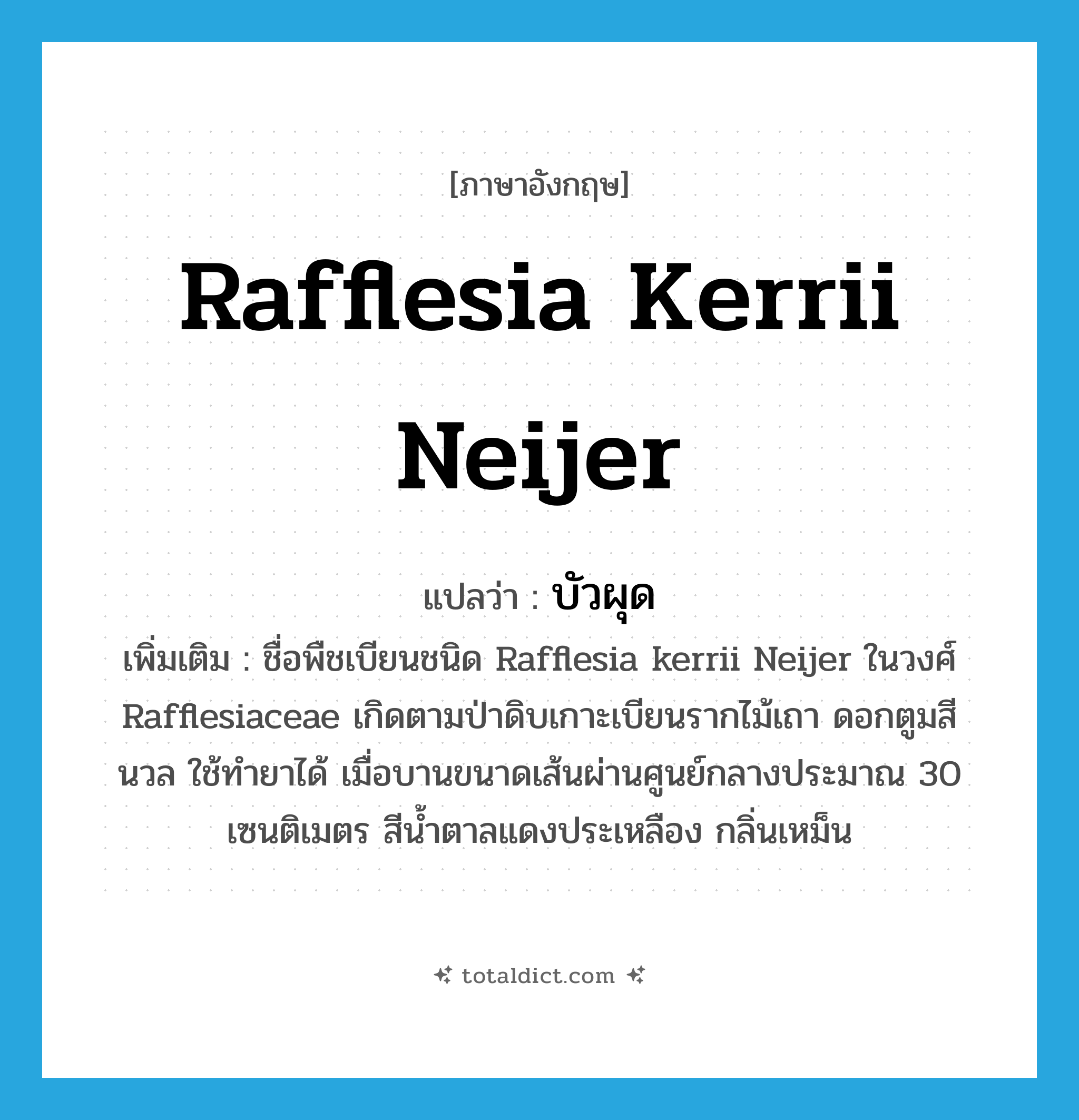 Rafflesia kerrii Neijer แปลว่า?, คำศัพท์ภาษาอังกฤษ Rafflesia kerrii Neijer แปลว่า บัวผุด ประเภท N เพิ่มเติม ชื่อพืชเบียนชนิด Rafflesia kerrii Neijer ในวงศ์ Rafflesiaceae เกิดตามป่าดิบเกาะเบียนรากไม้เถา ดอกตูมสีนวล ใช้ทำยาได้ เมื่อบานขนาดเส้นผ่านศูนย์กลางประมาณ 30 เซนติเมตร สีน้ำตาลแดงประเหลือง กลิ่นเหม็น หมวด N