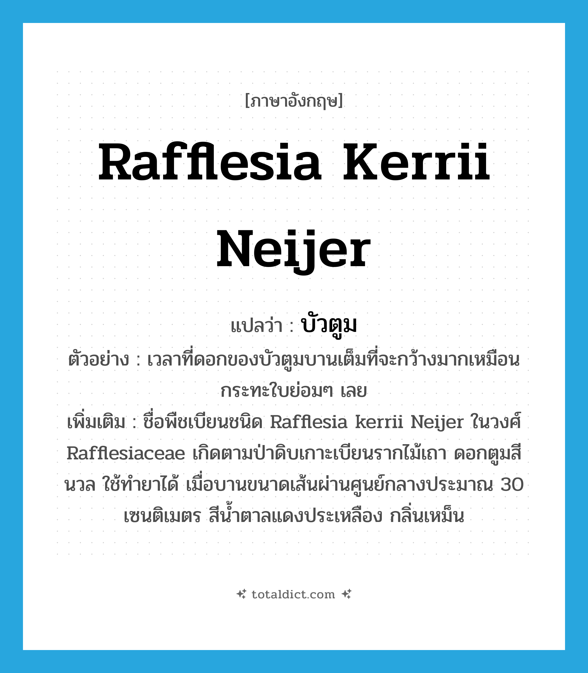 Rafflesia kerrii Neijer แปลว่า?, คำศัพท์ภาษาอังกฤษ Rafflesia kerrii Neijer แปลว่า บัวตูม ประเภท N ตัวอย่าง เวลาที่ดอกของบัวตูมบานเต็มที่จะกว้างมากเหมือนกระทะใบย่อมๆ เลย เพิ่มเติม ชื่อพืชเบียนชนิด Rafflesia kerrii Neijer ในวงศ์ Rafflesiaceae เกิดตามป่าดิบเกาะเบียนรากไม้เถา ดอกตูมสีนวล ใช้ทำยาได้ เมื่อบานขนาดเส้นผ่านศูนย์กลางประมาณ 30 เซนติเมตร สีน้ำตาลแดงประเหลือง กลิ่นเหม็น หมวด N