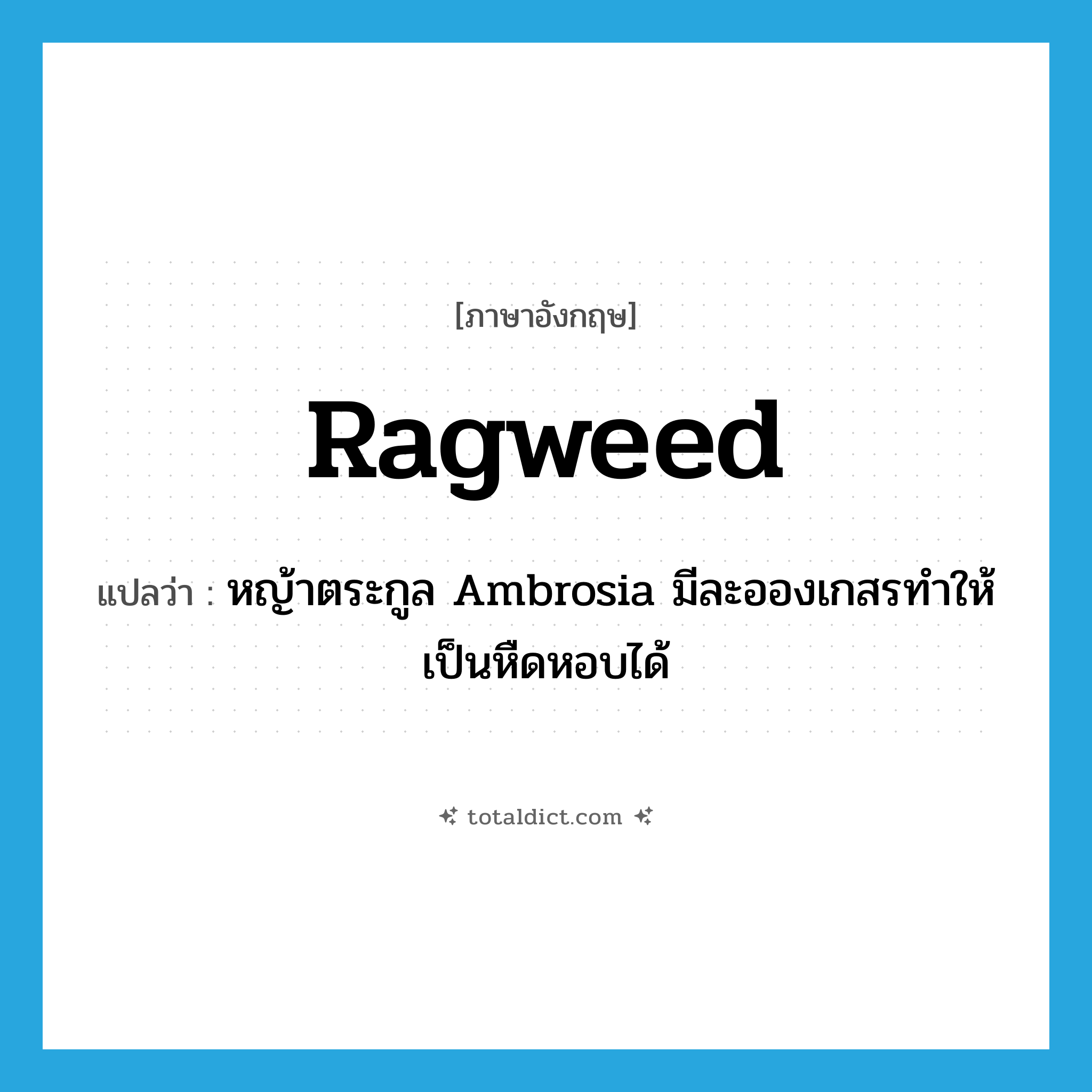 ragweed แปลว่า?, คำศัพท์ภาษาอังกฤษ ragweed แปลว่า หญ้าตระกูล Ambrosia มีละอองเกสรทำให้เป็นหืดหอบได้ ประเภท N หมวด N