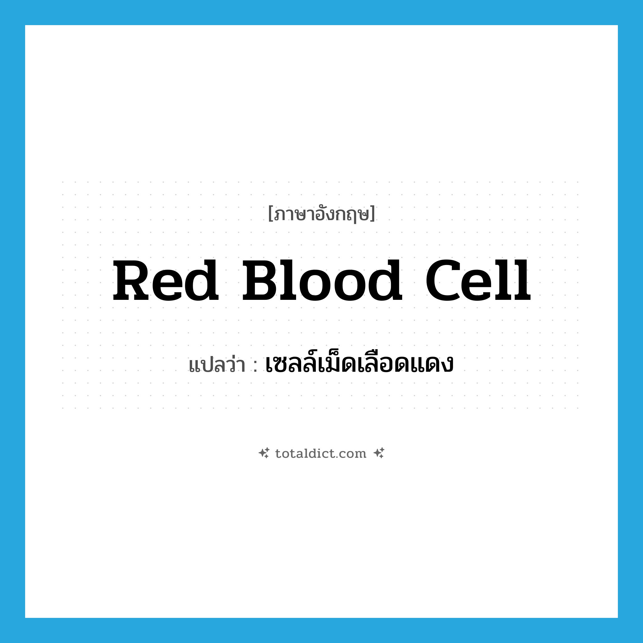 red blood cell แปลว่า?, คำศัพท์ภาษาอังกฤษ red blood cell แปลว่า เซลล์เม็ดเลือดแดง ประเภท N หมวด N