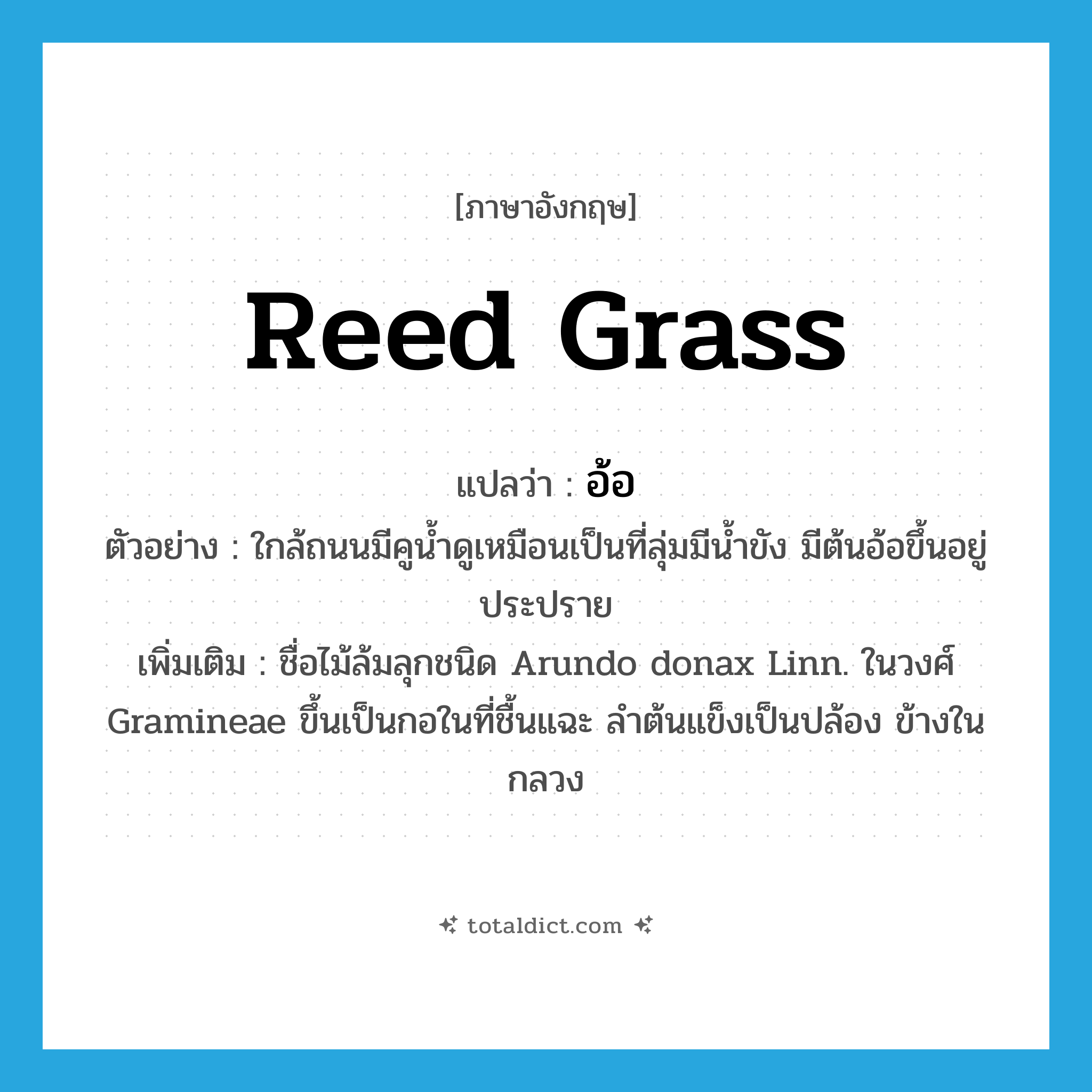 reed grass แปลว่า?, คำศัพท์ภาษาอังกฤษ reed grass แปลว่า อ้อ ประเภท N ตัวอย่าง ใกล้ถนนมีคูน้ำดูเหมือนเป็นที่ลุ่มมีน้ำขัง มีต้นอ้อขึ้นอยู่ประปราย เพิ่มเติม ชื่อไม้ล้มลุกชนิด Arundo donax Linn. ในวงศ์ Gramineae ขึ้นเป็นกอในที่ชื้นแฉะ ลำต้นแข็งเป็นปล้อง ข้างในกลวง หมวด N