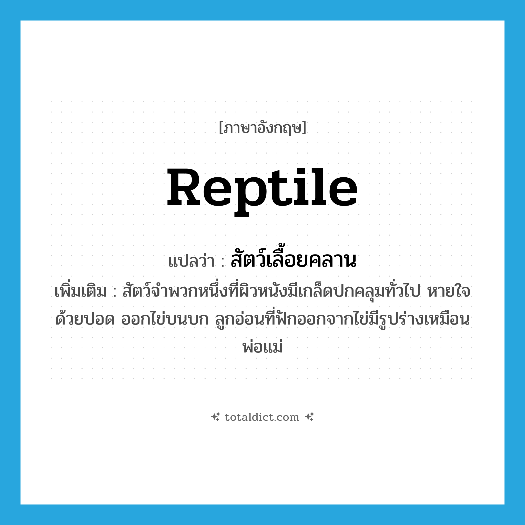 reptile แปลว่า?, คำศัพท์ภาษาอังกฤษ reptile แปลว่า สัตว์เลื้อยคลาน ประเภท N เพิ่มเติม สัตว์จำพวกหนึ่งที่ผิวหนังมีเกล็ดปกคลุมทั่วไป หายใจด้วยปอด ออกไข่บนบก ลูกอ่อนที่ฟักออกจากไข่มีรูปร่างเหมือนพ่อแม่ หมวด N