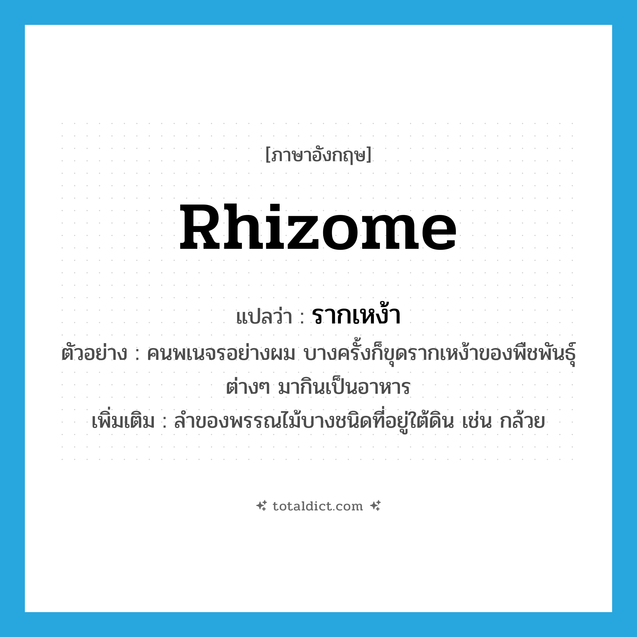 รากเหง้า ภาษาอังกฤษ?, คำศัพท์ภาษาอังกฤษ รากเหง้า แปลว่า rhizome ประเภท N ตัวอย่าง คนพเนจรอย่างผม บางครั้งก็ขุดรากเหง้าของพืชพันธุ์ต่างๆ มากินเป็นอาหาร เพิ่มเติม ลำของพรรณไม้บางชนิดที่อยู่ใต้ดิน เช่น กล้วย หมวด N