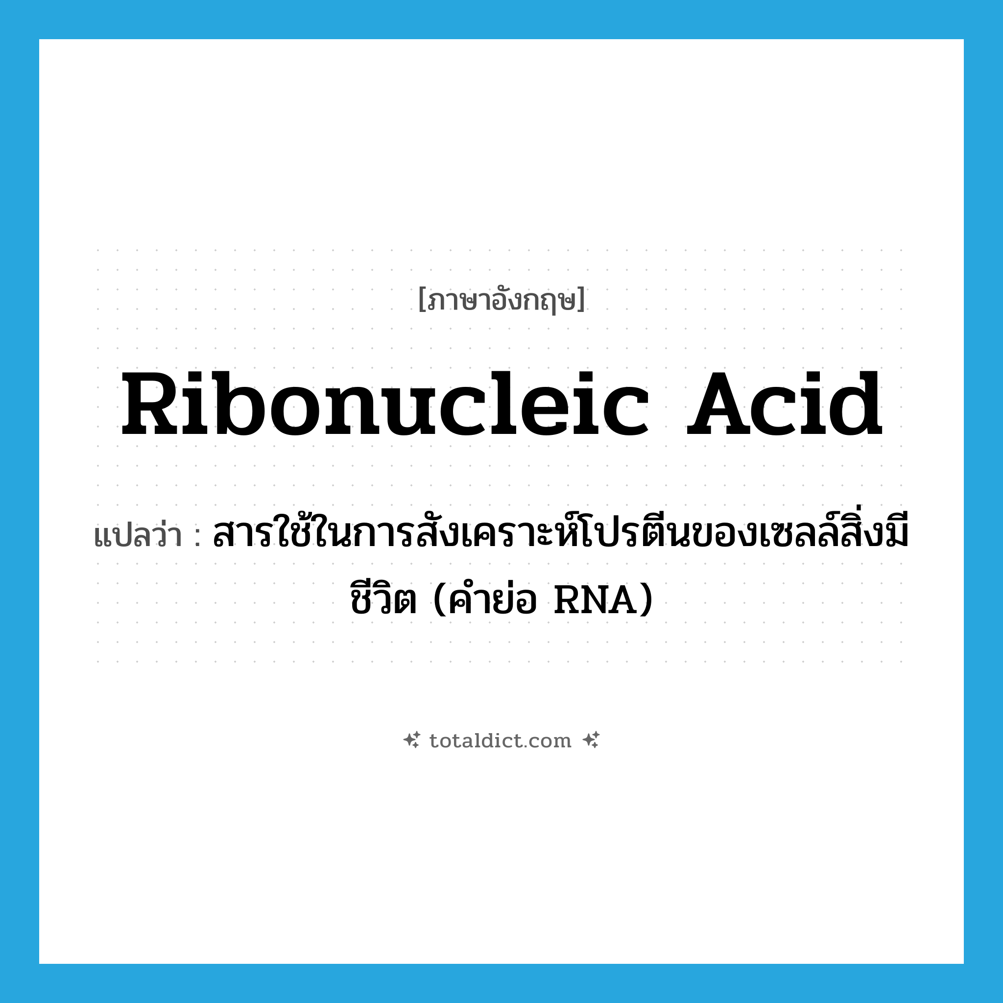 ribonucleic acid แปลว่า?, คำศัพท์ภาษาอังกฤษ ribonucleic acid แปลว่า สารใช้ในการสังเคราะห์โปรตีนของเซลล์สิ่งมีชีวิต (คำย่อ RNA) ประเภท N หมวด N