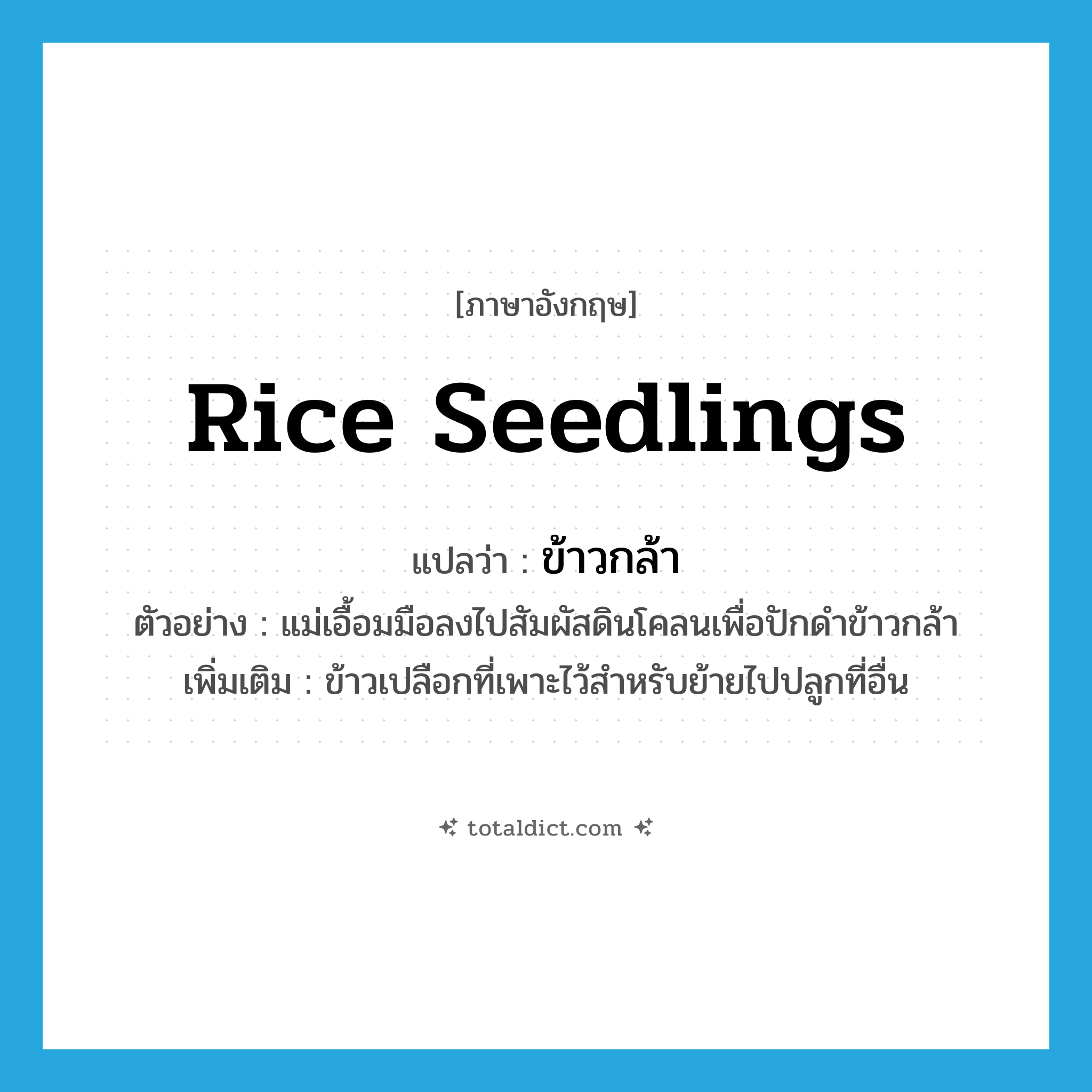 rice seedlings แปลว่า?, คำศัพท์ภาษาอังกฤษ rice seedlings แปลว่า ข้าวกล้า ประเภท N ตัวอย่าง แม่เอื้อมมือลงไปสัมผัสดินโคลนเพื่อปักดำข้าวกล้า เพิ่มเติม ข้าวเปลือกที่เพาะไว้สำหรับย้ายไปปลูกที่อื่น หมวด N