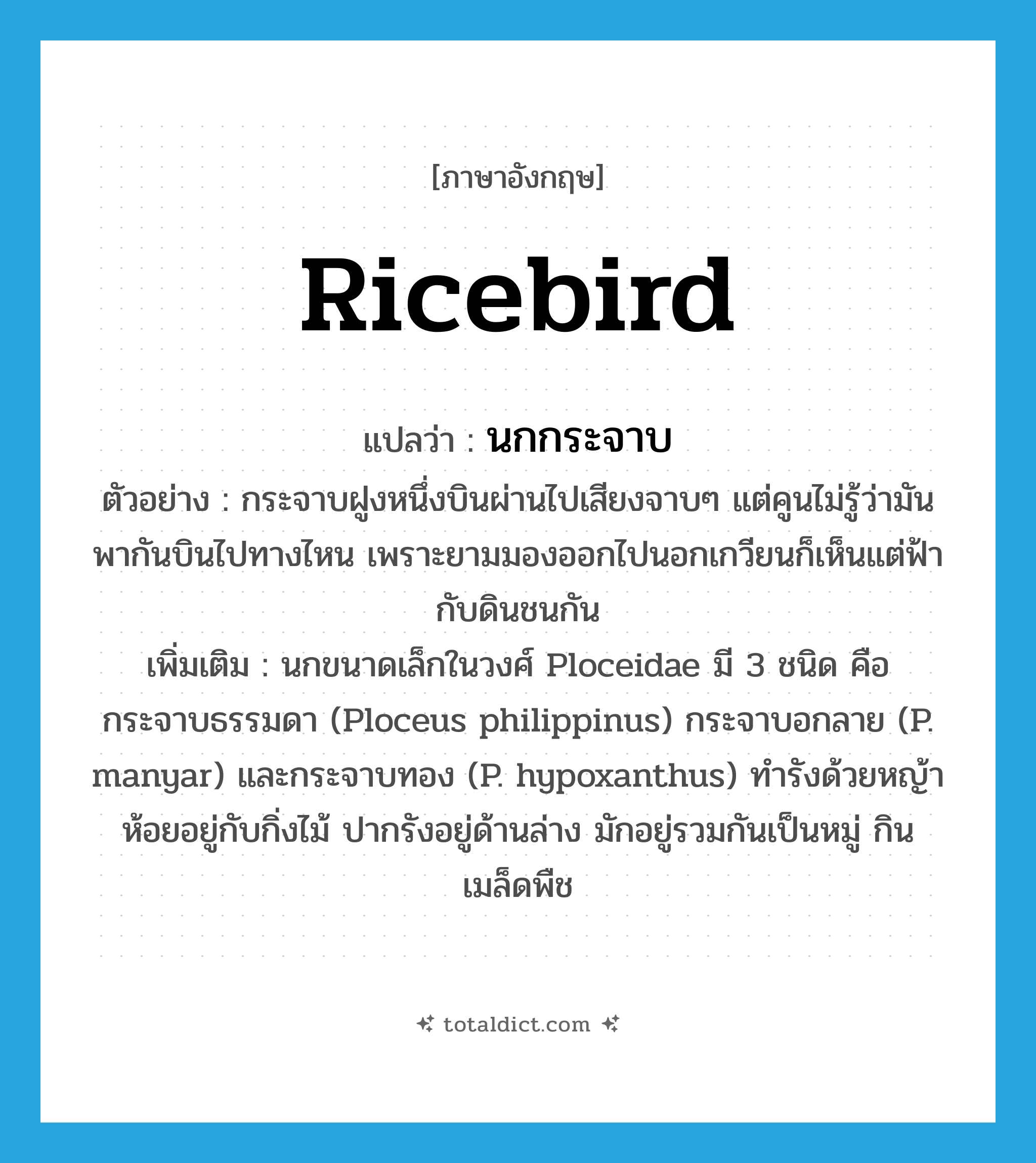 ricebird แปลว่า?, คำศัพท์ภาษาอังกฤษ ricebird แปลว่า นกกระจาบ ประเภท N ตัวอย่าง กระจาบฝูงหนึ่งบินผ่านไปเสียงจาบๆ แต่คูนไม่รู้ว่ามันพากันบินไปทางไหน เพราะยามมองออกไปนอกเกวียนก็เห็นแต่ฟ้ากับดินชนกัน เพิ่มเติม นกขนาดเล็กในวงศ์ Ploceidae มี 3 ชนิด คือ กระจาบธรรมดา (Ploceus philippinus) กระจาบอกลาย (P. manyar) และกระจาบทอง (P. hypoxanthus) ทำรังด้วยหญ้า ห้อยอยู่กับกิ่งไม้ ปากรังอยู่ด้านล่าง มักอยู่รวมกันเป็นหมู่ กินเมล็ดพืช หมวด N