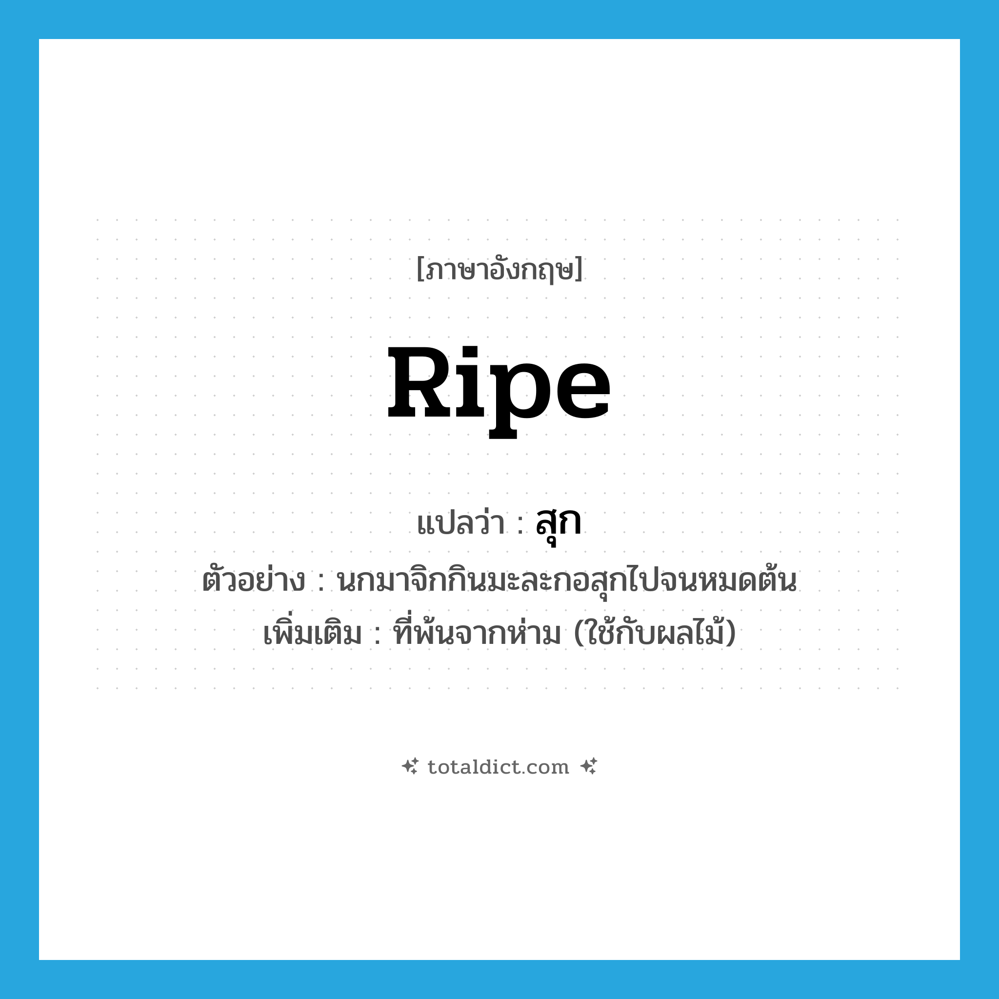 ripe แปลว่า?, คำศัพท์ภาษาอังกฤษ ripe แปลว่า สุก ประเภท ADJ ตัวอย่าง นกมาจิกกินมะละกอสุกไปจนหมดต้น เพิ่มเติม ที่พ้นจากห่าม (ใช้กับผลไม้) หมวด ADJ