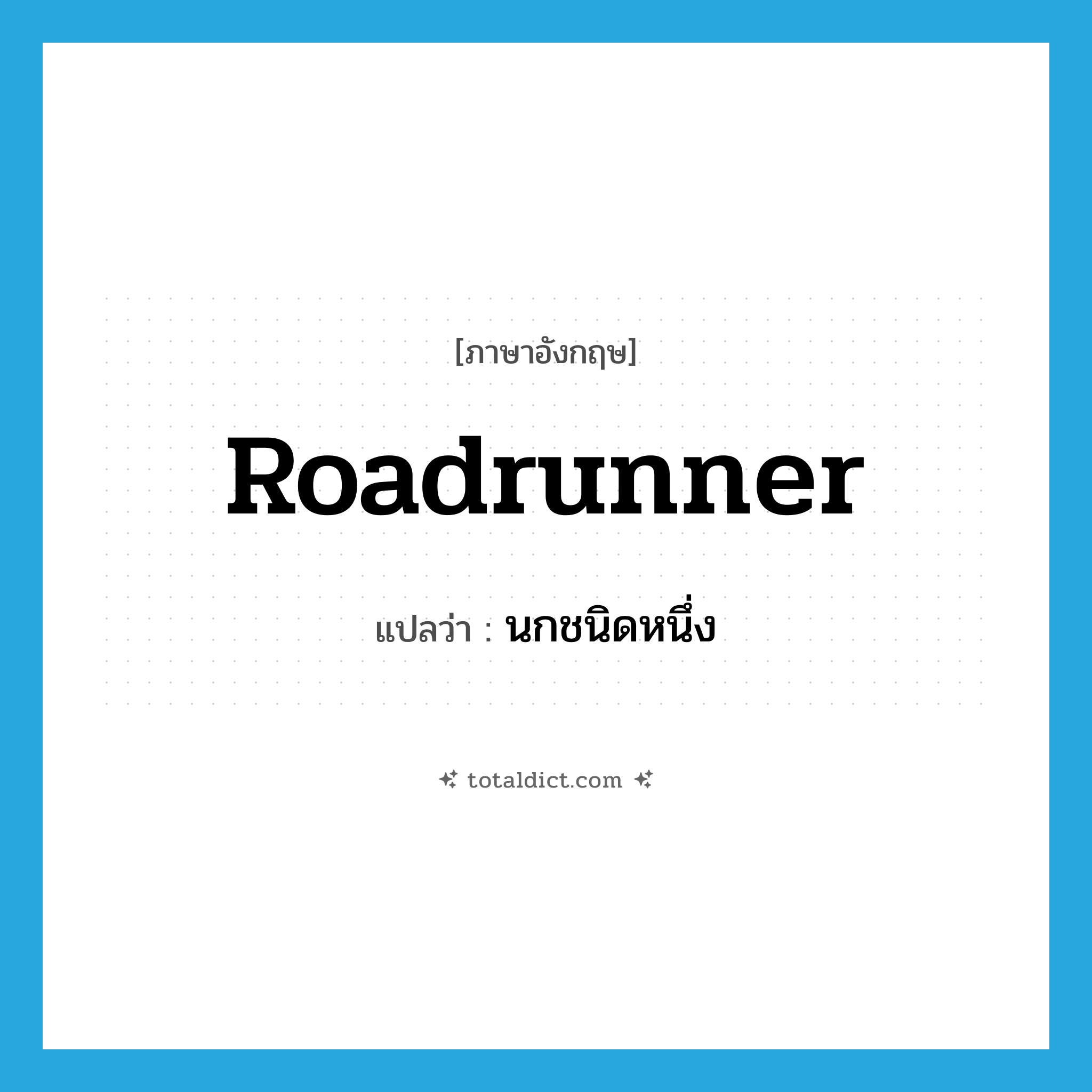 roadrunner แปลว่า?, คำศัพท์ภาษาอังกฤษ roadrunner แปลว่า นกชนิดหนึ่ง ประเภท N หมวด N