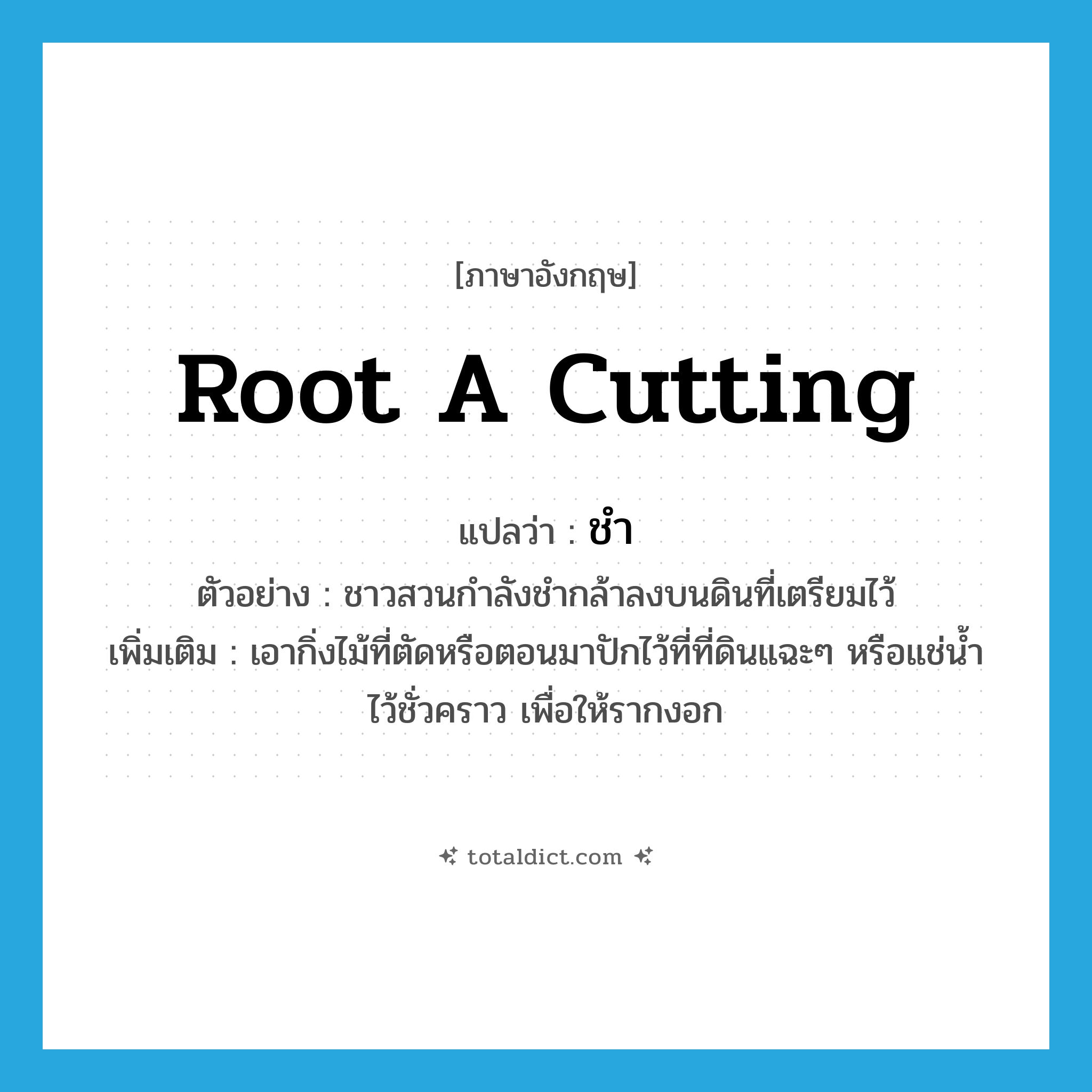 root a cutting แปลว่า?, คำศัพท์ภาษาอังกฤษ root a cutting แปลว่า ชำ ประเภท V ตัวอย่าง ชาวสวนกำลังชำกล้าลงบนดินที่เตรียมไว้ เพิ่มเติม เอากิ่งไม้ที่ตัดหรือตอนมาปักไว้ที่ที่ดินแฉะๆ หรือแช่น้ำไว้ชั่วคราว เพื่อให้รากงอก หมวด V