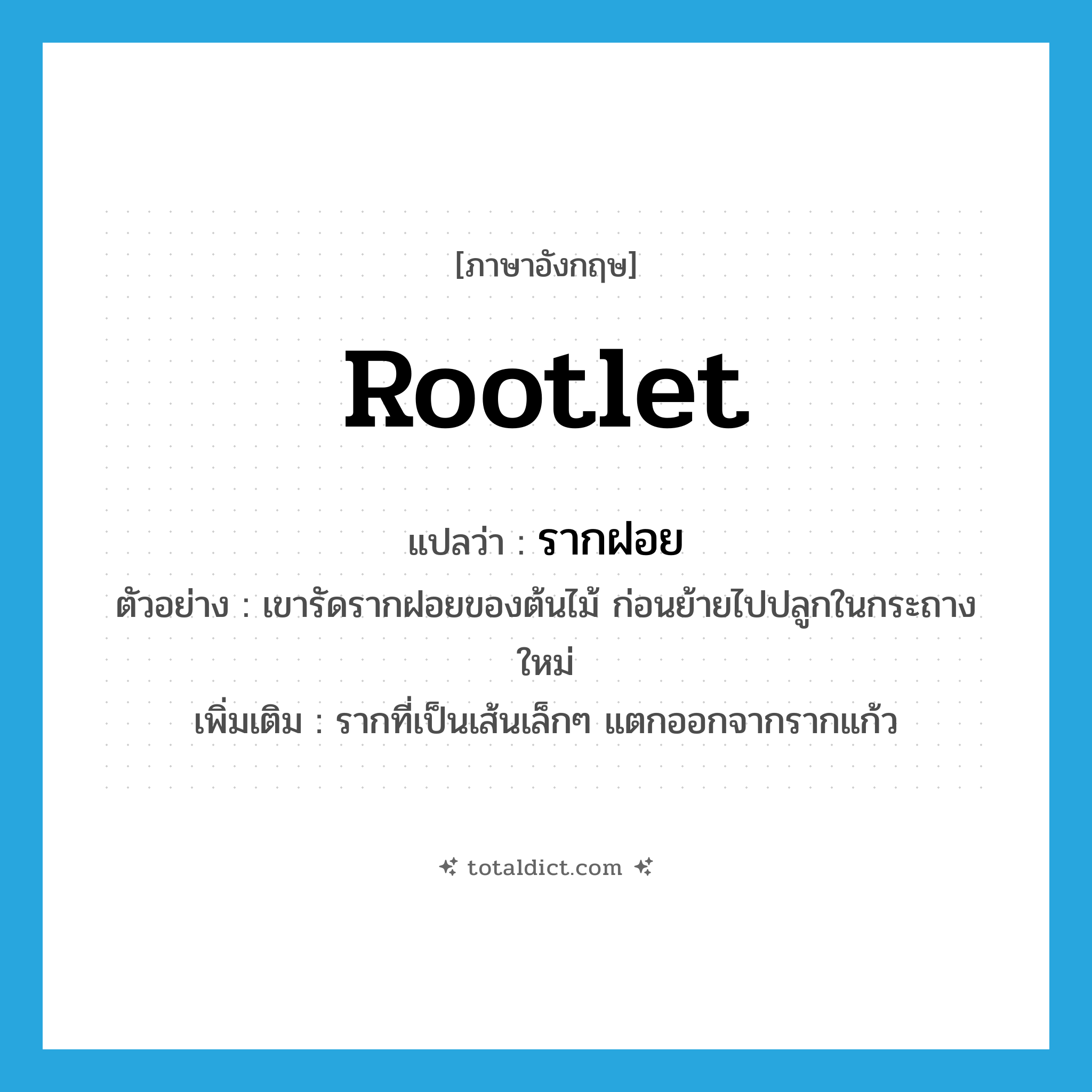 rootlet แปลว่า?, คำศัพท์ภาษาอังกฤษ rootlet แปลว่า รากฝอย ประเภท N ตัวอย่าง เขารัดรากฝอยของต้นไม้ ก่อนย้ายไปปลูกในกระถางใหม่ เพิ่มเติม รากที่เป็นเส้นเล็กๆ แตกออกจากรากแก้ว หมวด N