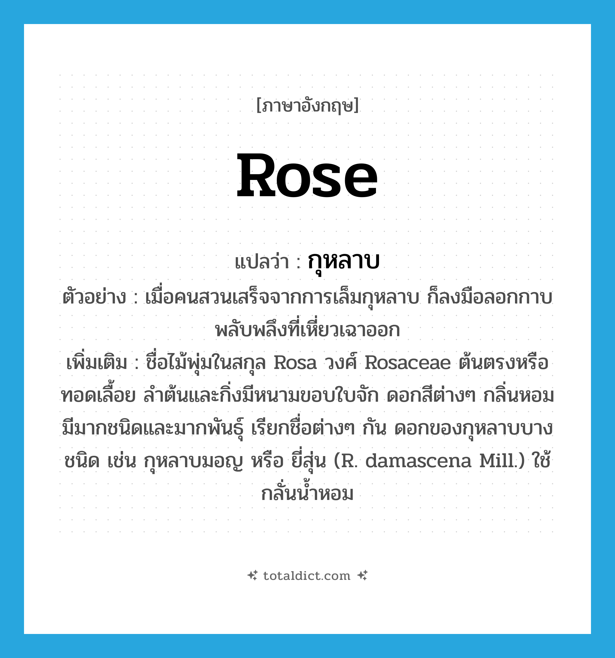 rose แปลว่า?, คำศัพท์ภาษาอังกฤษ rose แปลว่า กุหลาบ ประเภท N ตัวอย่าง เมื่อคนสวนเสร็จจากการเล็มกุหลาบ ก็ลงมือลอกกาบพลับพลึงที่เหี่ยวเฉาออก เพิ่มเติม ชื่อไม้พุ่มในสกุล Rosa วงศ์ Rosaceae ต้นตรงหรือทอดเลื้อย ลำต้นและกิ่งมีหนามขอบใบจัก ดอกสีต่างๆ กลิ่นหอม มีมากชนิดและมากพันธุ์ เรียกชื่อต่างๆ กัน ดอกของกุหลาบบางชนิด เช่น กุหลาบมอญ หรือ ยี่สุ่น (R. damascena Mill.) ใช้กลั่นน้ำหอม หมวด N