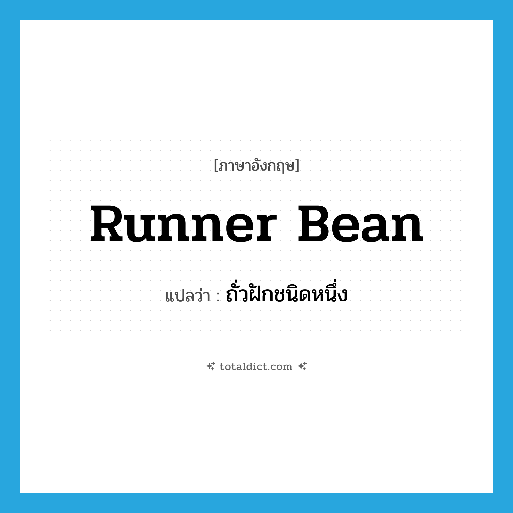 runner bean แปลว่า?, คำศัพท์ภาษาอังกฤษ runner bean แปลว่า ถั่วฝักชนิดหนึ่ง ประเภท N หมวด N