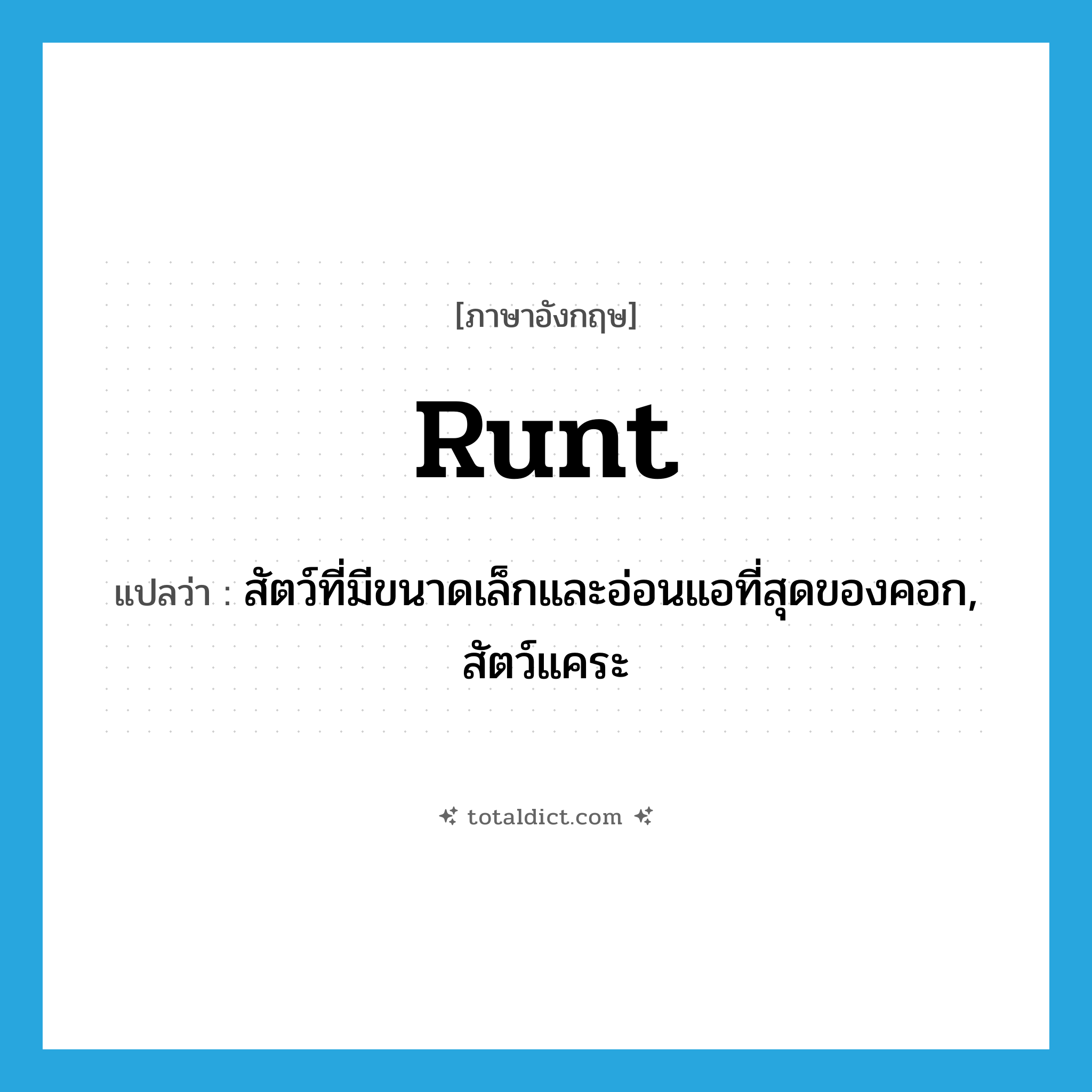runt แปลว่า?, คำศัพท์ภาษาอังกฤษ runt แปลว่า สัตว์ที่มีขนาดเล็กและอ่อนแอที่สุดของคอก, สัตว์แคระ ประเภท N หมวด N