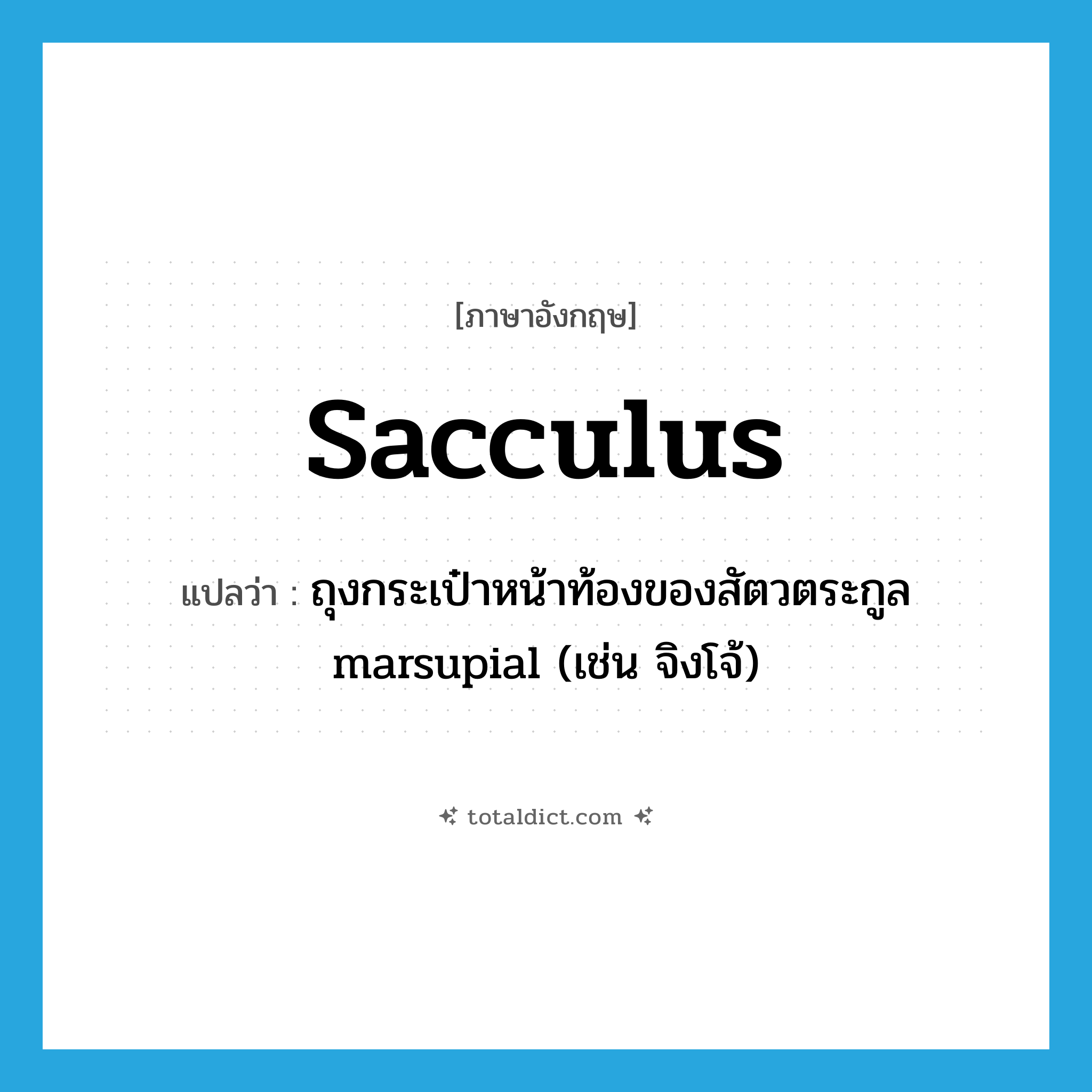 sacculus แปลว่า?, คำศัพท์ภาษาอังกฤษ sacculus แปลว่า ถุงกระเป๋าหน้าท้องของสัตวตระกูล marsupial (เช่น จิงโจ้) ประเภท N หมวด N