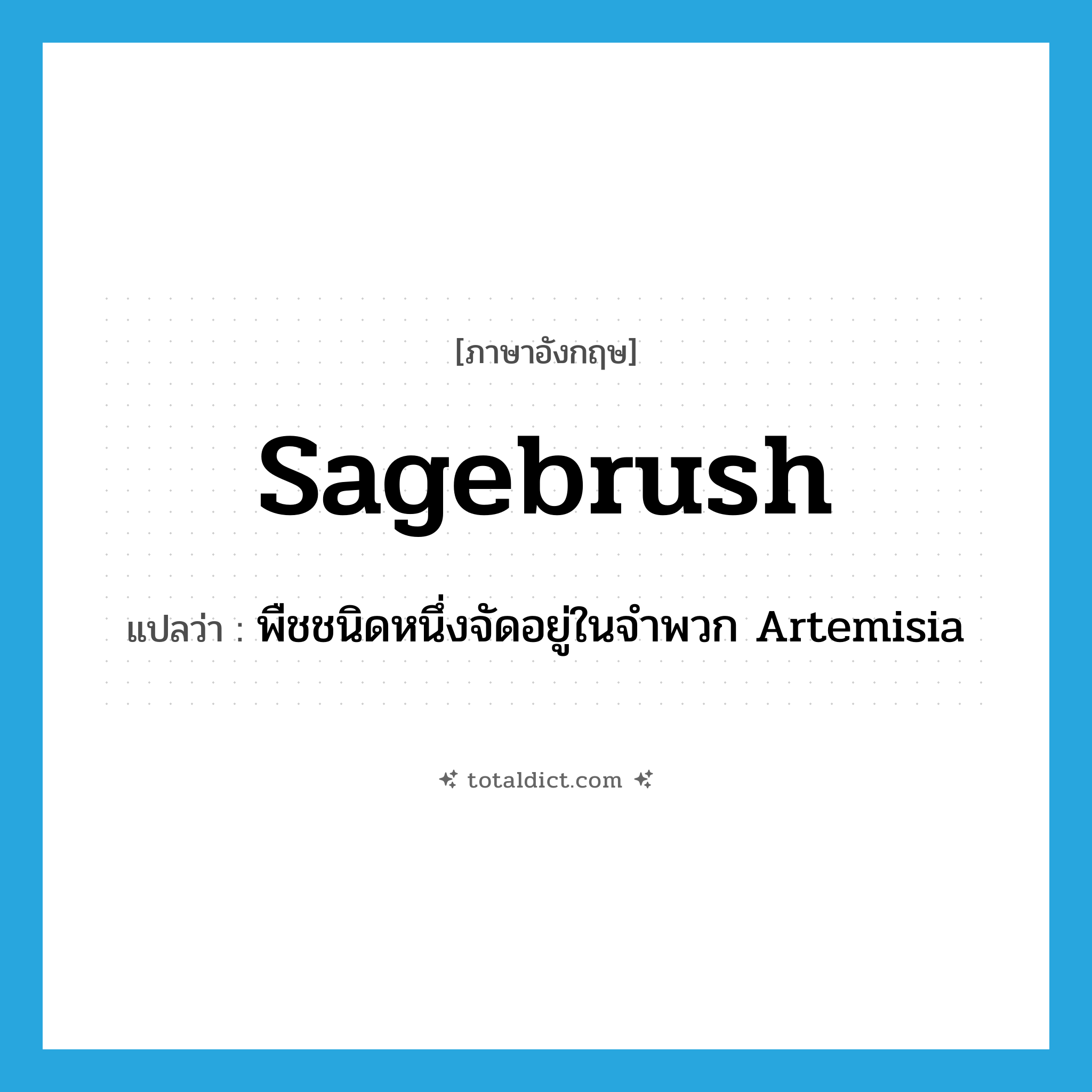 sagebrush แปลว่า?, คำศัพท์ภาษาอังกฤษ sagebrush แปลว่า พืชชนิดหนึ่งจัดอยู่ในจำพวก Artemisia ประเภท N หมวด N
