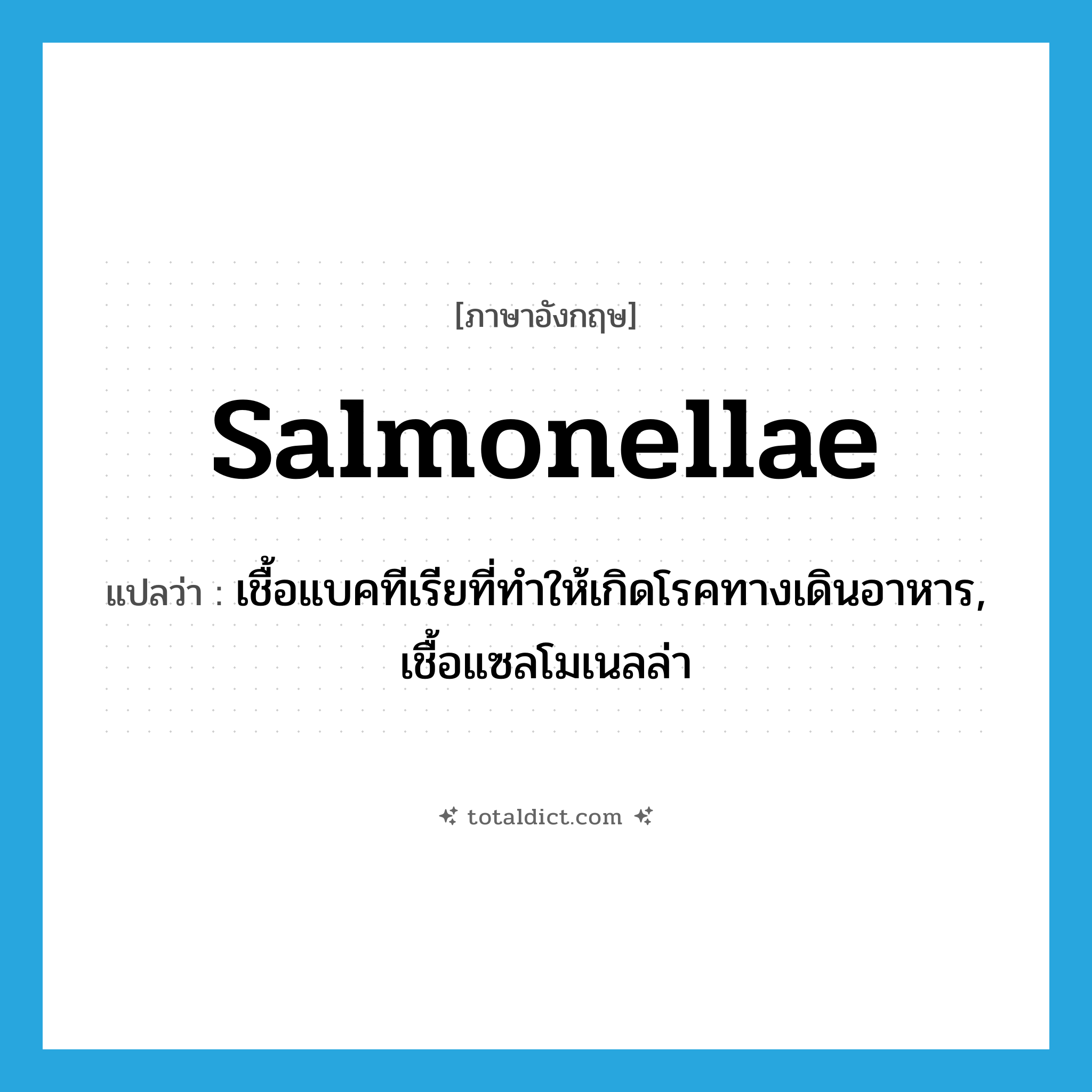 salmonellae แปลว่า?, คำศัพท์ภาษาอังกฤษ salmonellae แปลว่า เชื้อแบคทีเรียที่ทำให้เกิดโรคทางเดินอาหาร, เชื้อแซลโมเนลล่า ประเภท N หมวด N