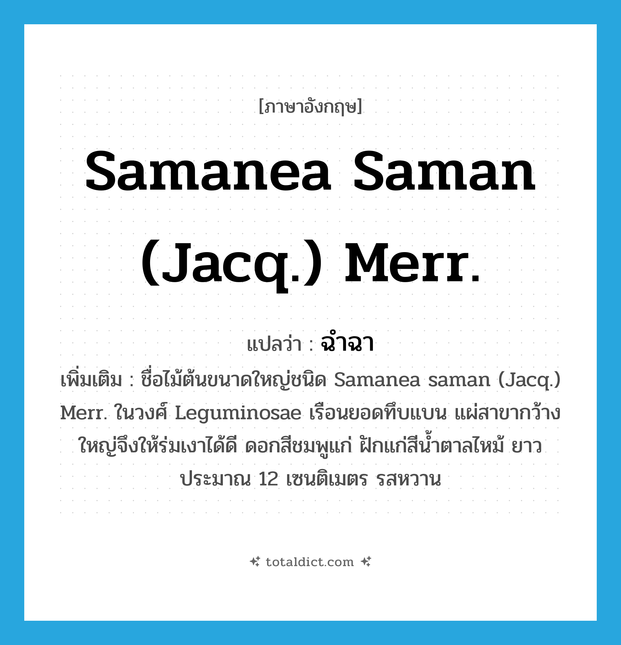 Samanea saman (Jacq.) Merr. แปลว่า?, คำศัพท์ภาษาอังกฤษ Samanea saman (Jacq.) Merr. แปลว่า ฉำฉา ประเภท N เพิ่มเติม ชื่อไม้ต้นขนาดใหญ่ชนิด Samanea saman (Jacq.) Merr. ในวงศ์ Leguminosae เรือนยอดทึบแบน แผ่สาขากว้างใหญ่จึงให้ร่มเงาได้ดี ดอกสีชมพูแก่ ฝักแก่สีน้ำตาลไหม้ ยาวประมาณ 12 เซนติเมตร รสหวาน หมวด N