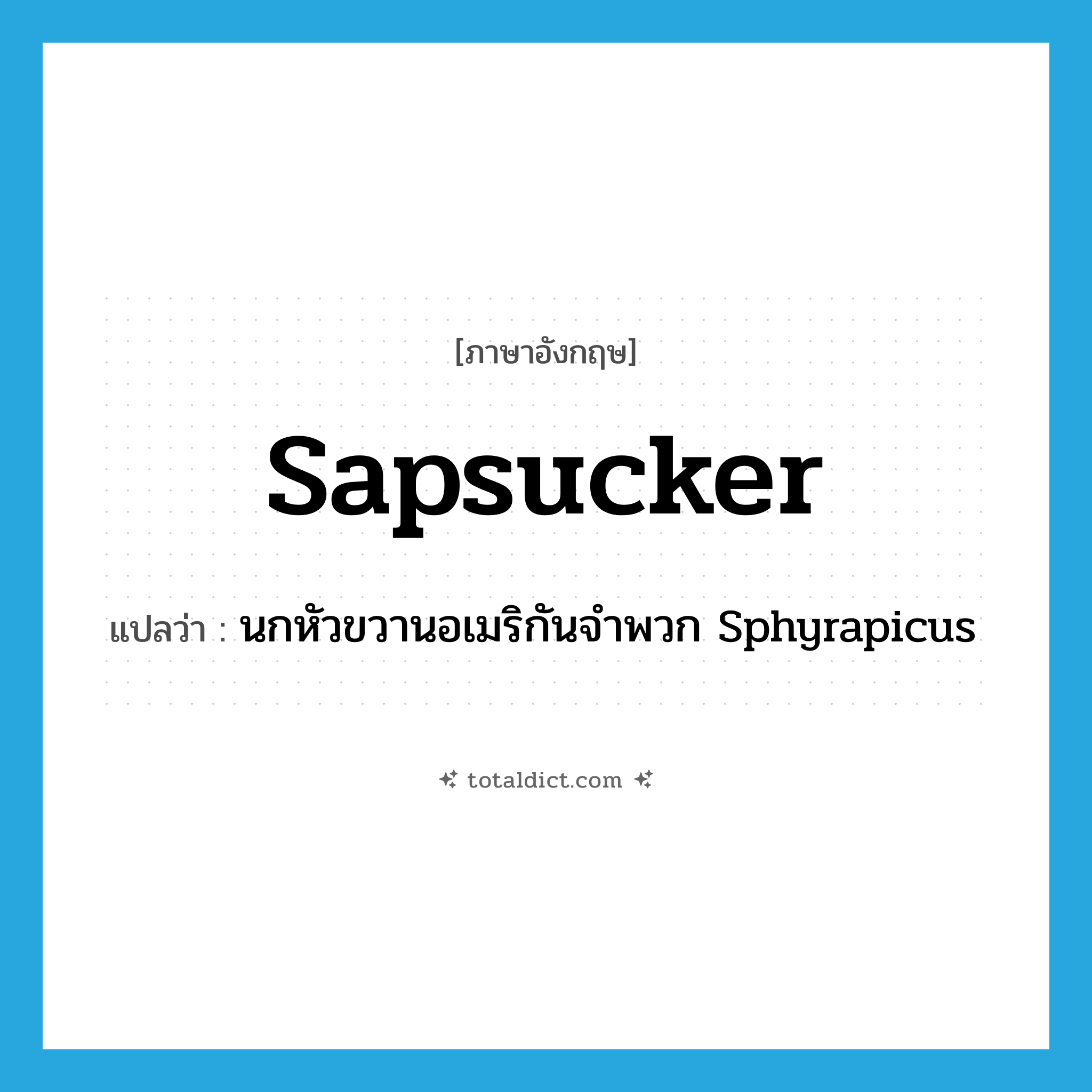 sapsucker แปลว่า?, คำศัพท์ภาษาอังกฤษ sapsucker แปลว่า นกหัวขวานอเมริกันจำพวก Sphyrapicus ประเภท N หมวด N