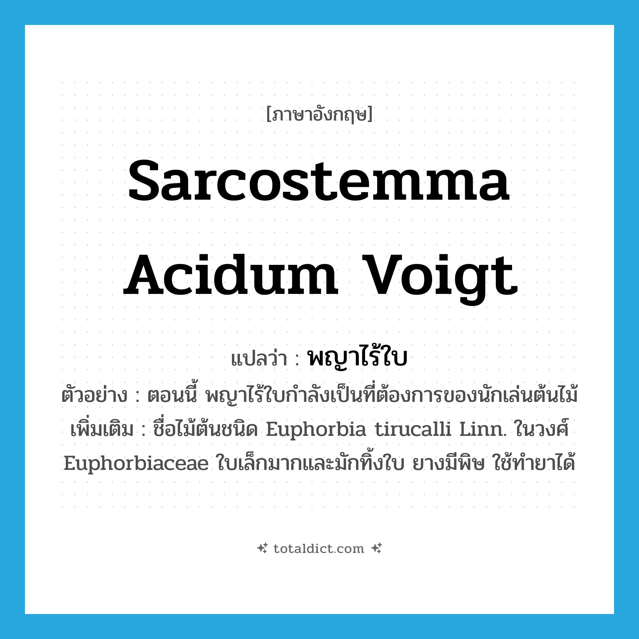 Sarcostemma acidum Voigt แปลว่า?, คำศัพท์ภาษาอังกฤษ Sarcostemma acidum Voigt แปลว่า พญาไร้ใบ ประเภท N ตัวอย่าง ตอนนี้ พญาไร้ใบกำลังเป็นที่ต้องการของนักเล่นต้นไม้ เพิ่มเติม ชื่อไม้ต้นชนิด Euphorbia tirucalli Linn. ในวงศ์ Euphorbiaceae ใบเล็กมากและมักทิ้งใบ ยางมีพิษ ใช้ทำยาได้ หมวด N