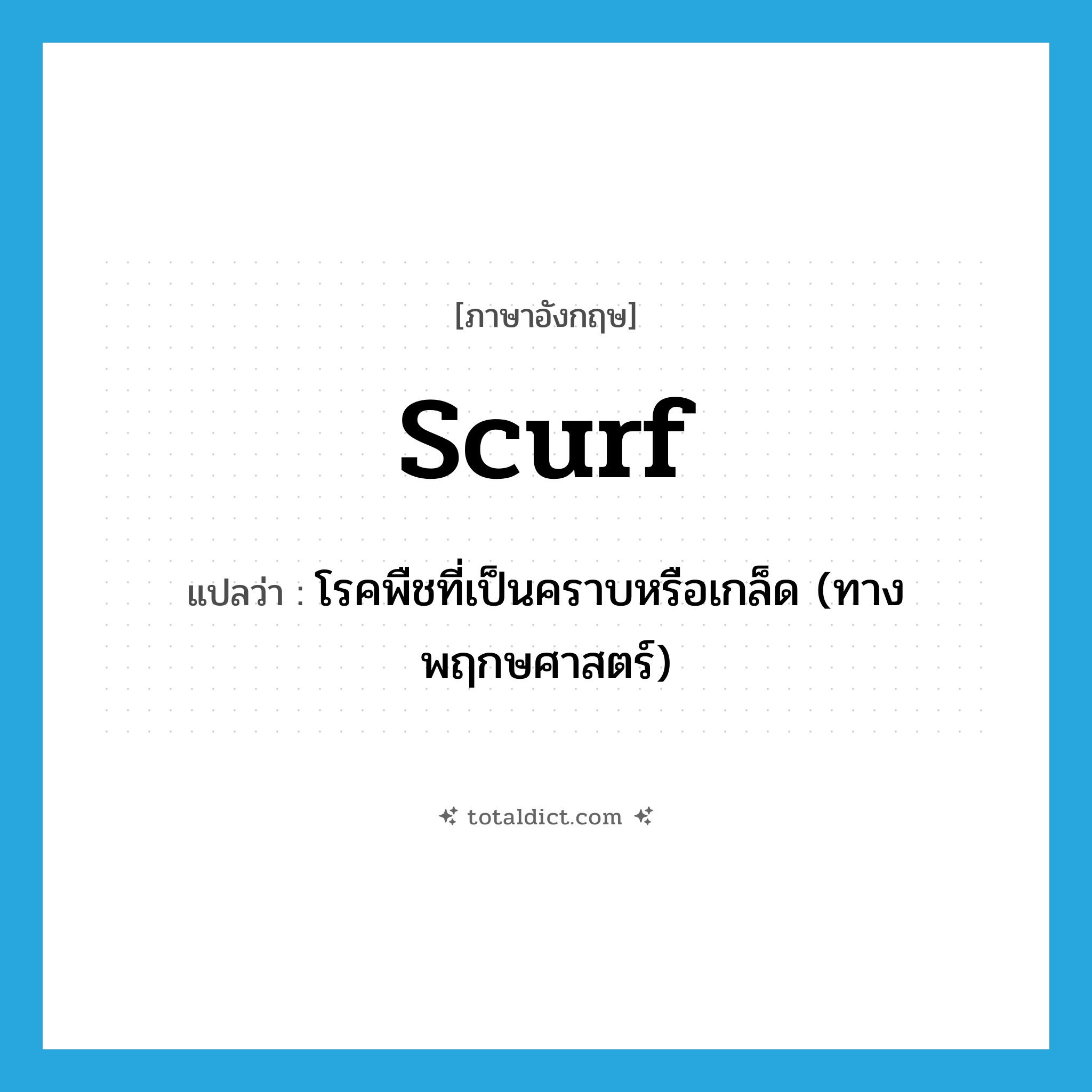 scurf แปลว่า?, คำศัพท์ภาษาอังกฤษ scurf แปลว่า โรคพืชที่เป็นคราบหรือเกล็ด (ทางพฤกษศาสตร์) ประเภท N หมวด N