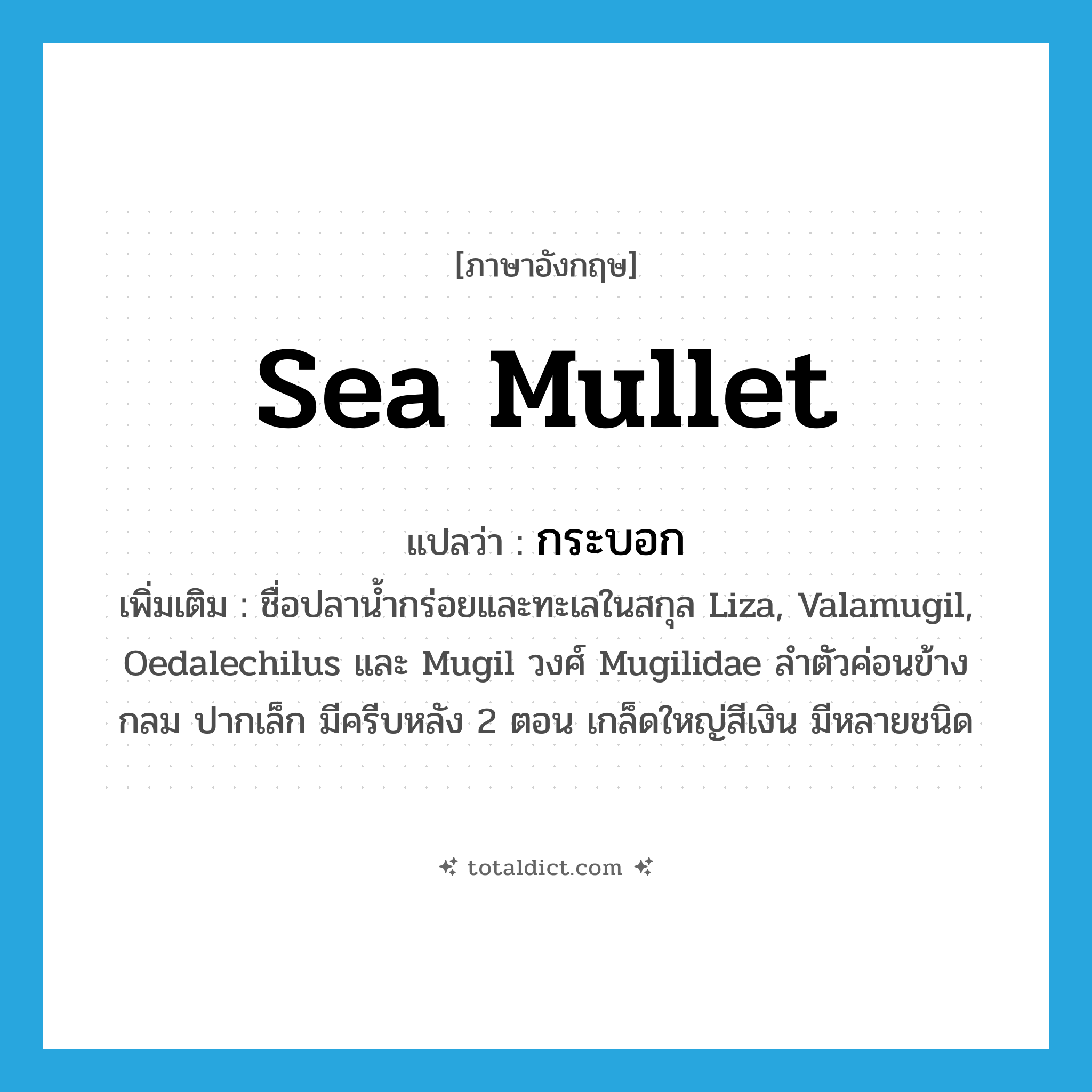 กระบอก ภาษาอังกฤษ?, คำศัพท์ภาษาอังกฤษ กระบอก แปลว่า sea mullet ประเภท N เพิ่มเติม ชื่อปลาน้ำกร่อยและทะเลในสกุล Liza, Valamugil, Oedalechilus และ Mugil วงศ์ Mugilidae ลำตัวค่อนข้างกลม ปากเล็ก มีครีบหลัง 2 ตอน เกล็ดใหญ่สีเงิน มีหลายชนิด หมวด N
