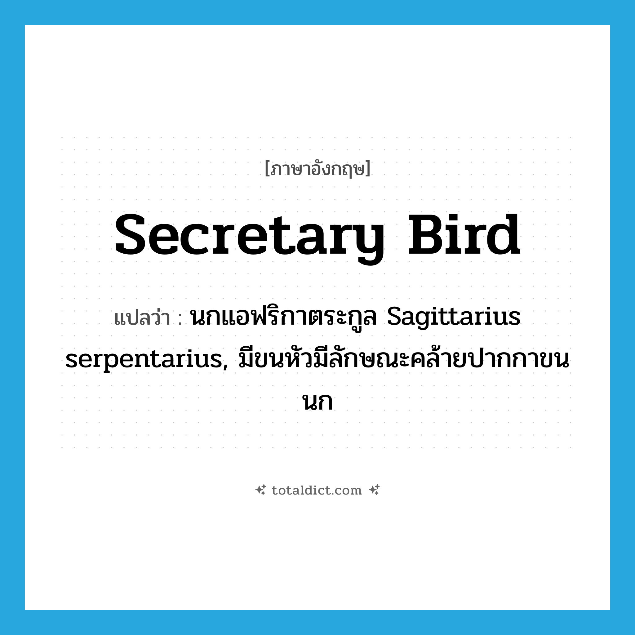 secretary bird แปลว่า?, คำศัพท์ภาษาอังกฤษ secretary bird แปลว่า นกแอฟริกาตระกูล Sagittarius serpentarius, มีขนหัวมีลักษณะคล้ายปากกาขนนก ประเภท N หมวด N