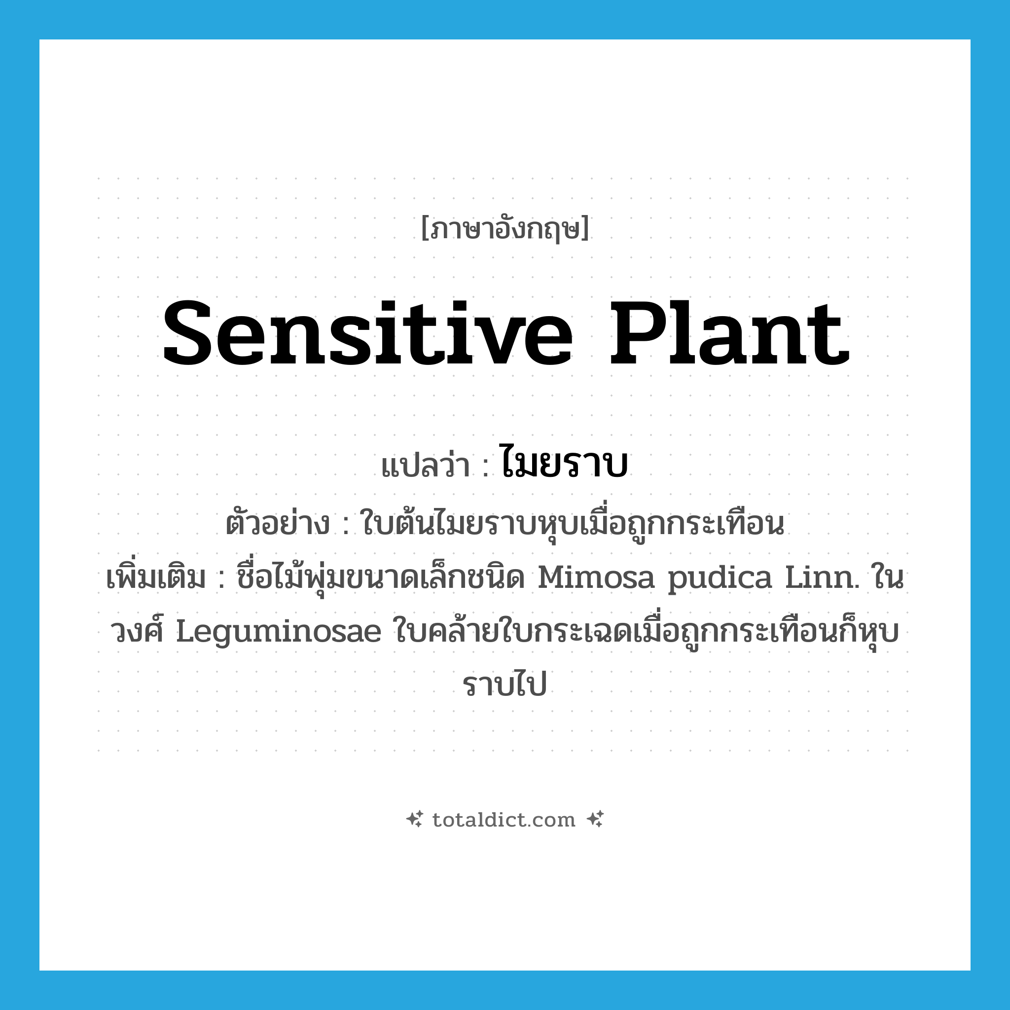sensitive plant แปลว่า?, คำศัพท์ภาษาอังกฤษ sensitive plant แปลว่า ไมยราบ ประเภท N ตัวอย่าง ใบต้นไมยราบหุบเมื่อถูกกระเทือน เพิ่มเติม ชื่อไม้พุ่มขนาดเล็กชนิด Mimosa pudica Linn. ในวงศ์ Leguminosae ใบคล้ายใบกระเฉดเมื่อถูกกระเทือนก็หุบราบไป หมวด N