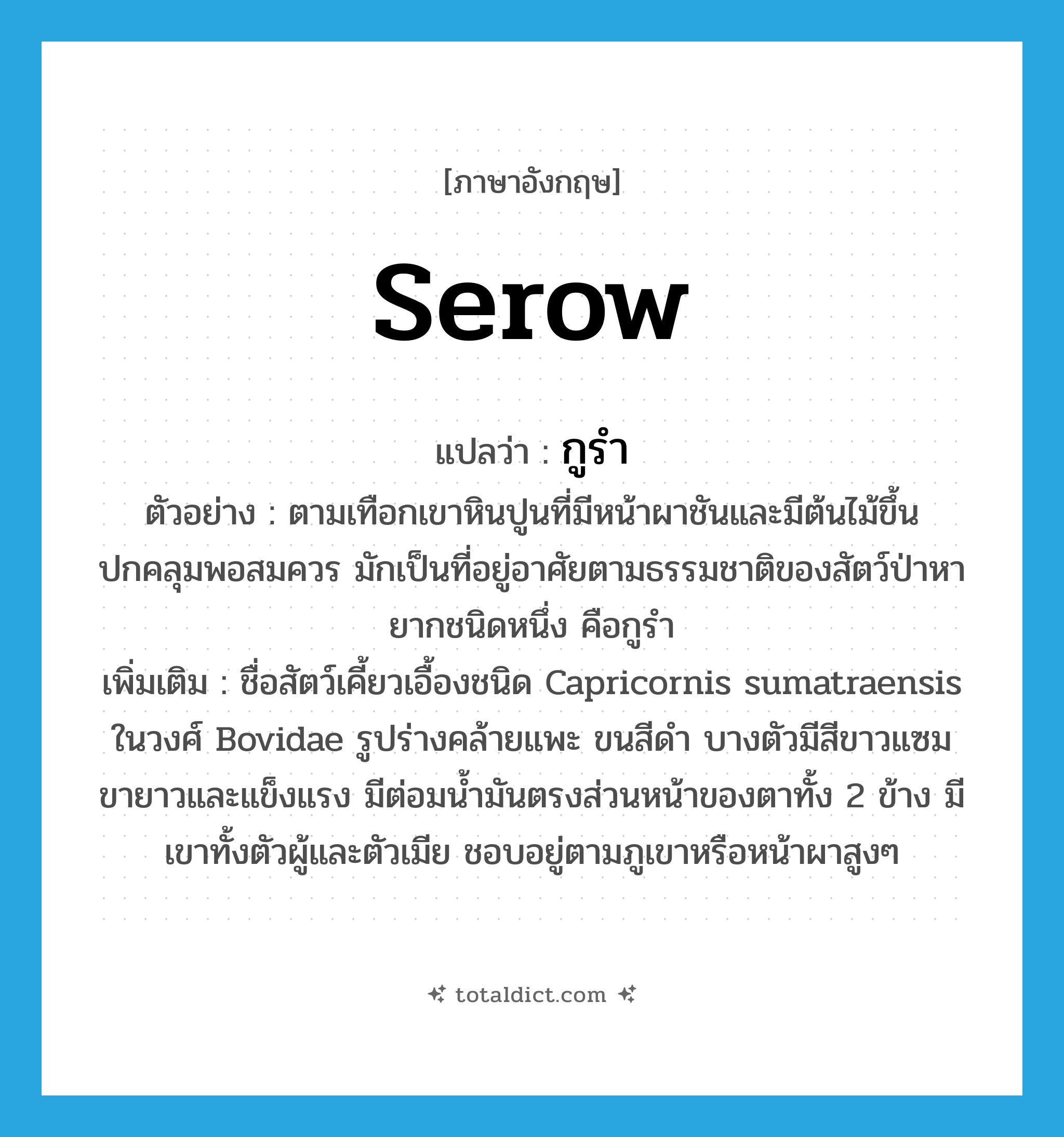 serow แปลว่า?, คำศัพท์ภาษาอังกฤษ serow แปลว่า กูรำ ประเภท N ตัวอย่าง ตามเทือกเขาหินปูนที่มีหน้าผาชันและมีต้นไม้ขึ้นปกคลุมพอสมควร มักเป็นที่อยู่อาศัยตามธรรมชาติของสัตว์ป่าหายากชนิดหนึ่ง คือกูรำ เพิ่มเติม ชื่อสัตว์เคี้ยวเอื้องชนิด Capricornis sumatraensis ในวงศ์ Bovidae รูปร่างคล้ายแพะ ขนสีดำ บางตัวมีสีขาวแซม ขายาวและแข็งแรง มีต่อมน้ำมันตรงส่วนหน้าของตาทั้ง 2 ข้าง มีเขาทั้งตัวผู้และตัวเมีย ชอบอยู่ตามภูเขาหรือหน้าผาสูงๆ หมวด N