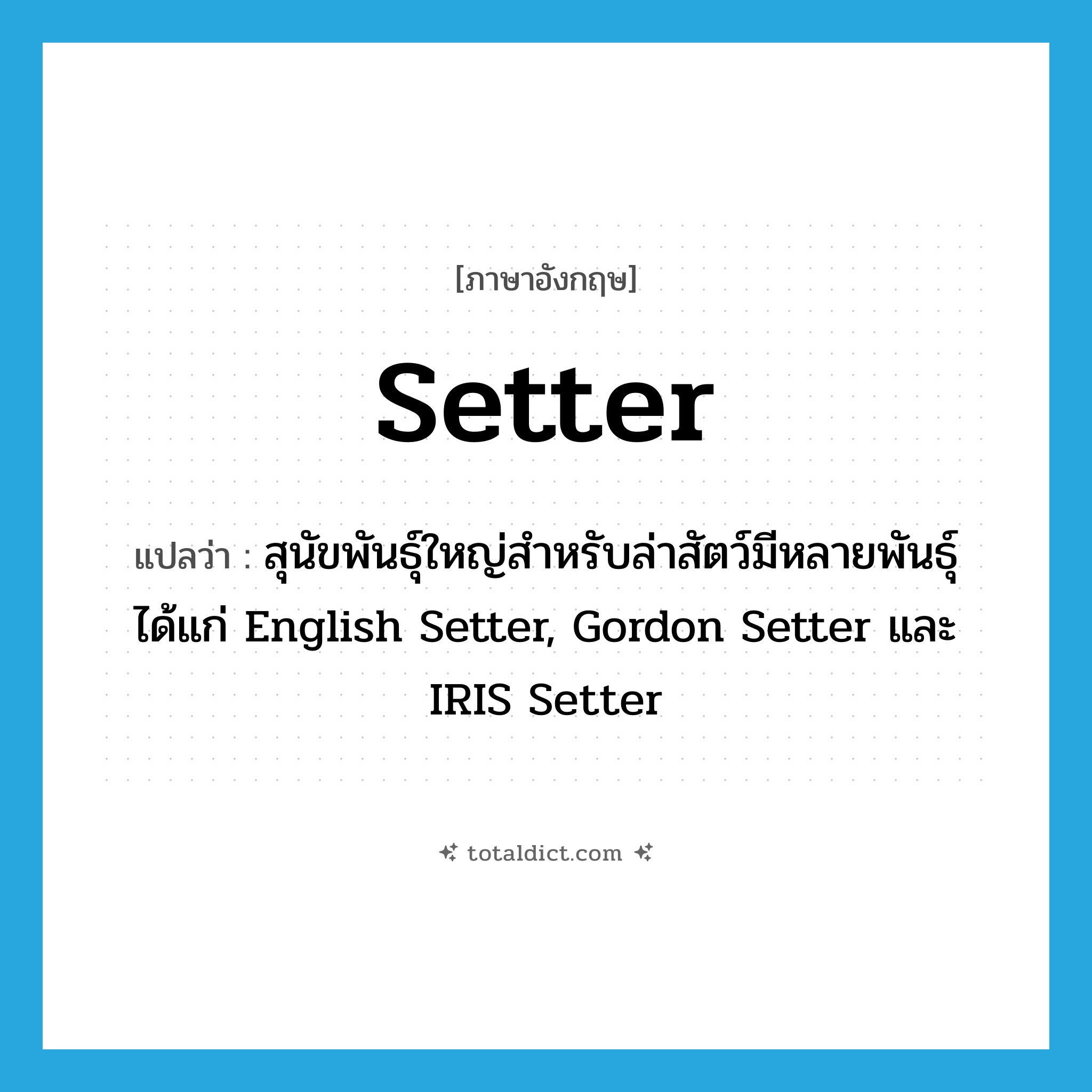 setter แปลว่า?, คำศัพท์ภาษาอังกฤษ setter แปลว่า สุนัขพันธุ์ใหญ่สำหรับล่าสัตว์มีหลายพันธุ์ได้แก่ English Setter, Gordon Setter และ IRIS Setter ประเภท N หมวด N