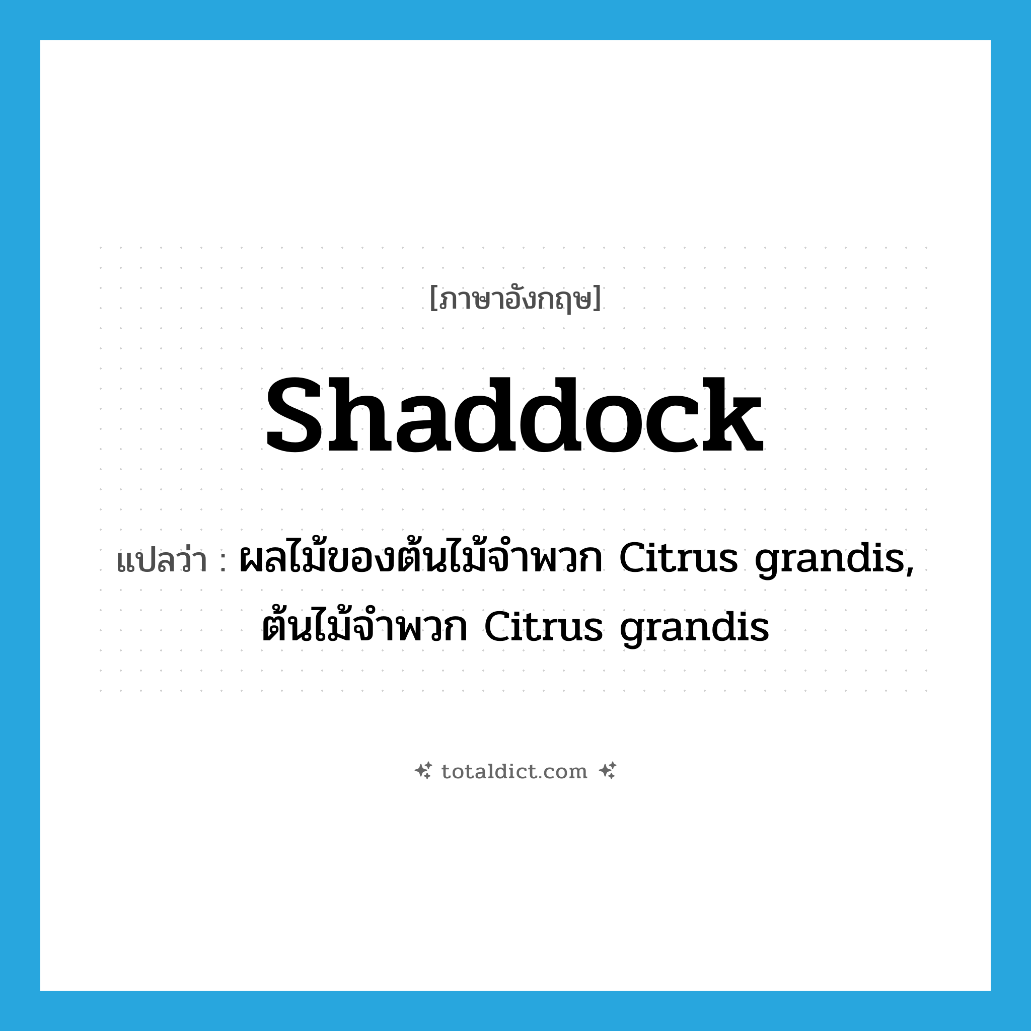 shaddock แปลว่า?, คำศัพท์ภาษาอังกฤษ shaddock แปลว่า ผลไม้ของต้นไม้จำพวก Citrus grandis, ต้นไม้จำพวก Citrus grandis ประเภท N หมวด N