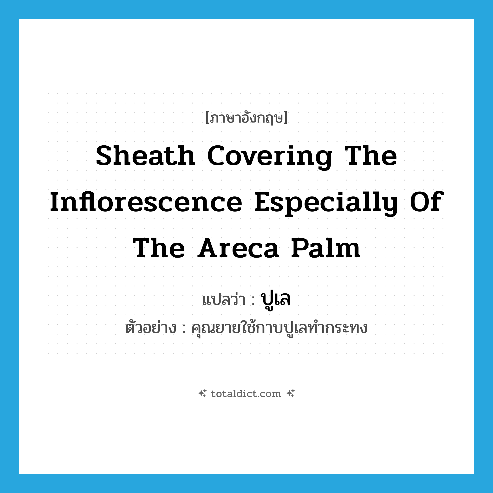 sheath covering the inflorescence especially of the areca palm แปลว่า?, คำศัพท์ภาษาอังกฤษ sheath covering the inflorescence especially of the areca palm แปลว่า ปูเล ประเภท N ตัวอย่าง คุณยายใช้กาบปูเลทำกระทง หมวด N