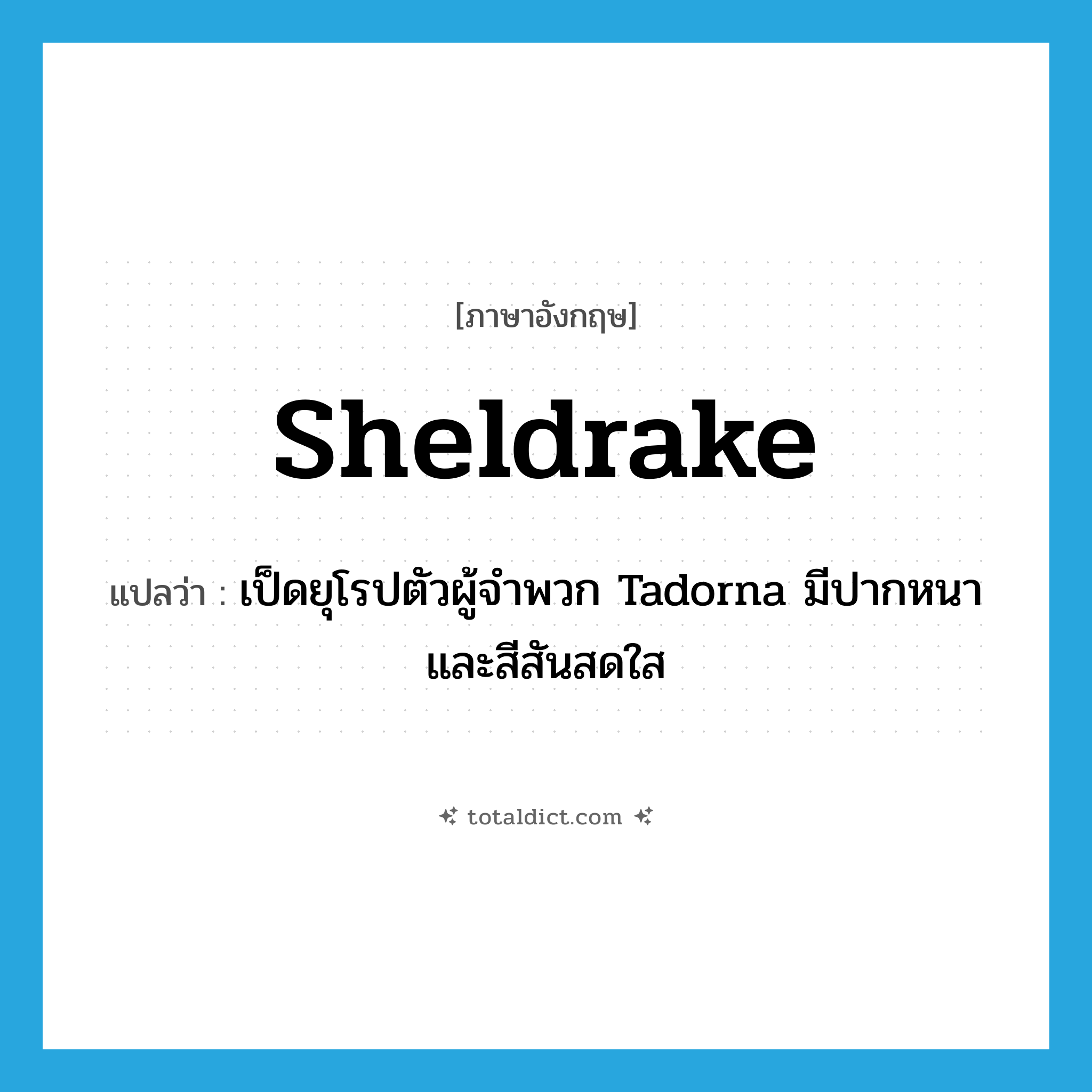 sheldrake แปลว่า?, คำศัพท์ภาษาอังกฤษ sheldrake แปลว่า เป็ดยุโรปตัวผู้จำพวก Tadorna มีปากหนาและสีสันสดใส ประเภท N หมวด N