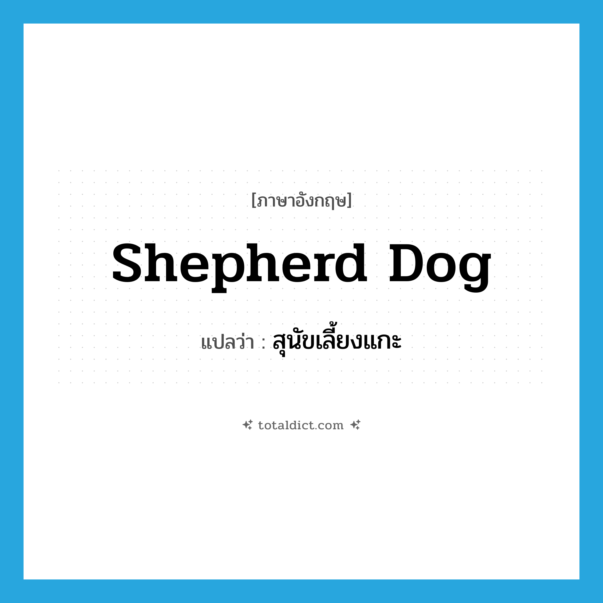 shepherd dog แปลว่า?, คำศัพท์ภาษาอังกฤษ shepherd dog แปลว่า สุนัขเลี้ยงแกะ ประเภท N หมวด N