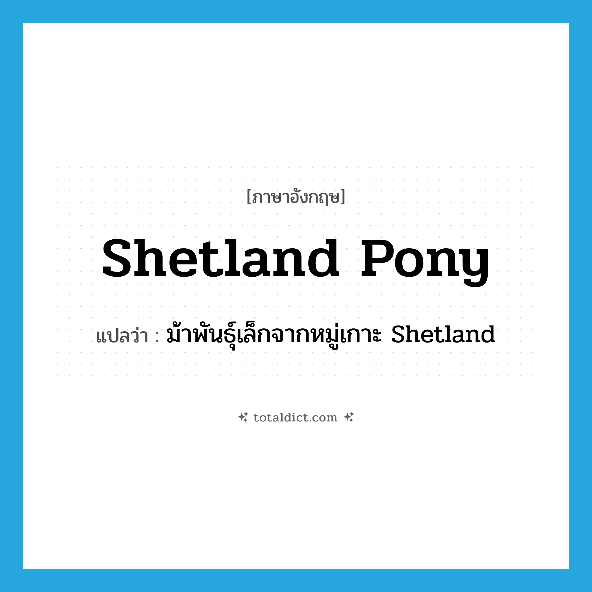 Shetland pony แปลว่า?, คำศัพท์ภาษาอังกฤษ Shetland pony แปลว่า ม้าพันธุ์เล็กจากหมู่เกาะ Shetland ประเภท N หมวด N