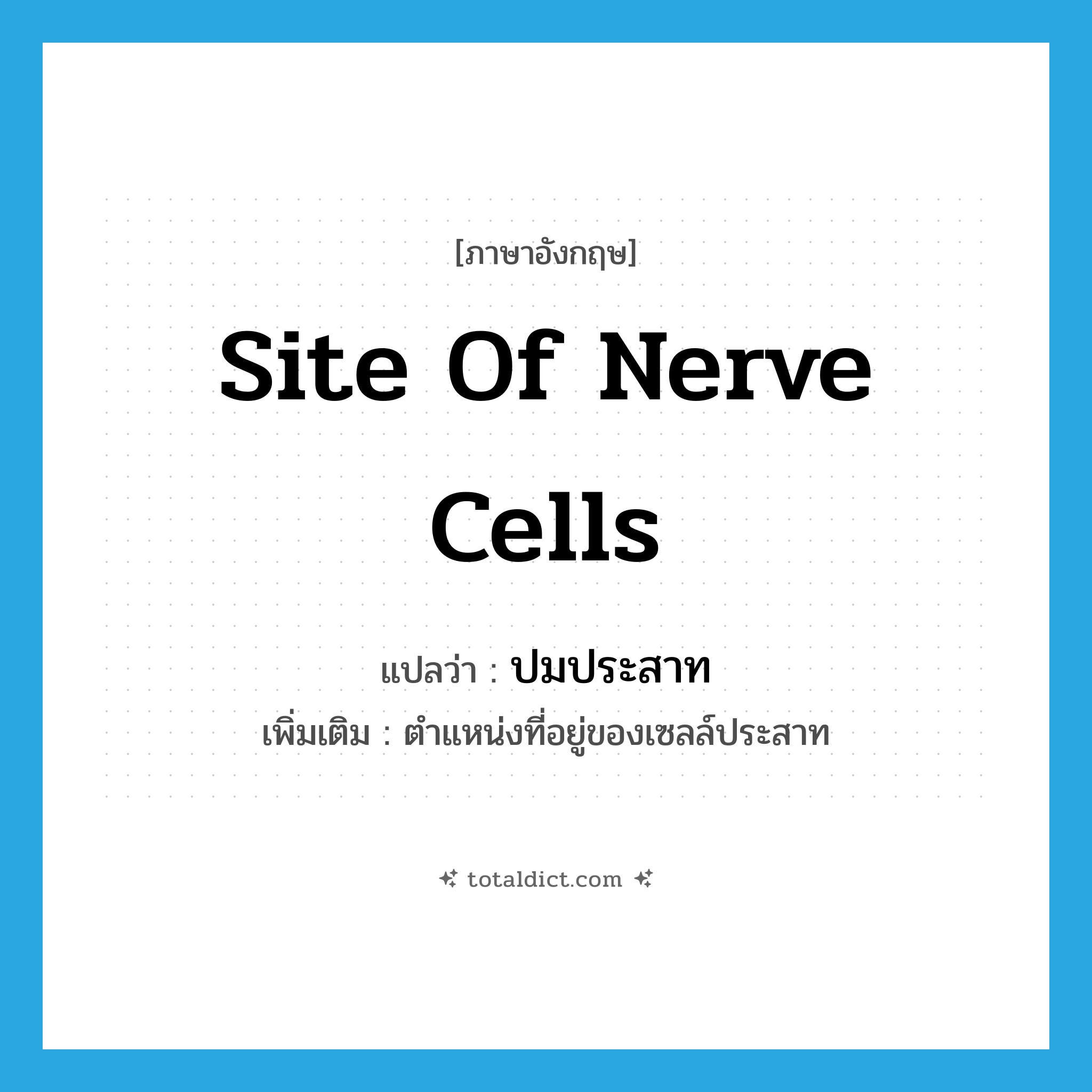 site of nerve cells แปลว่า?, คำศัพท์ภาษาอังกฤษ site of nerve cells แปลว่า ปมประสาท ประเภท N เพิ่มเติม ตำแหน่งที่อยู่ของเซลล์ประสาท หมวด N