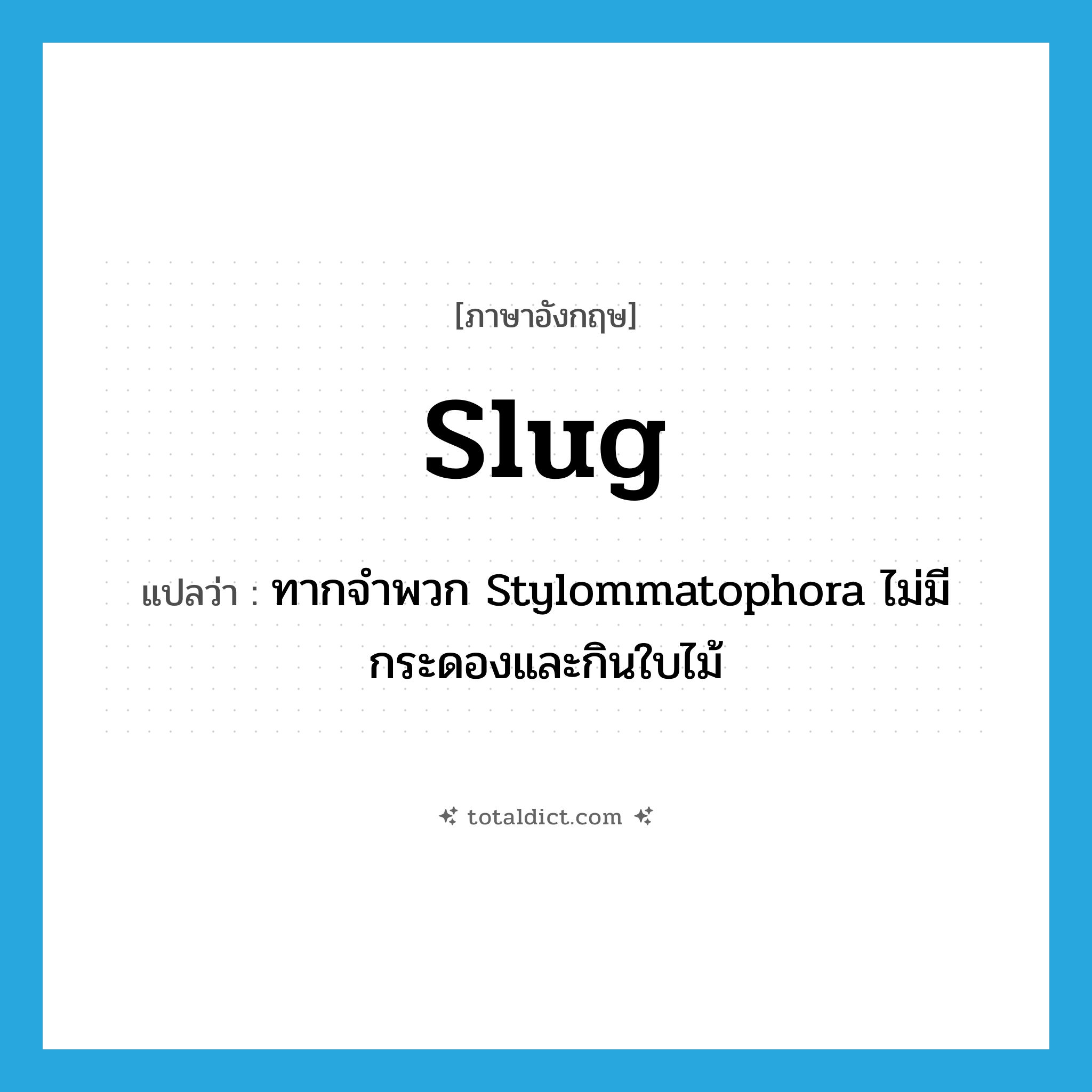 slug แปลว่า?, คำศัพท์ภาษาอังกฤษ slug แปลว่า ทากจำพวก Stylommatophora ไม่มีกระดองและกินใบไม้ ประเภท N หมวด N