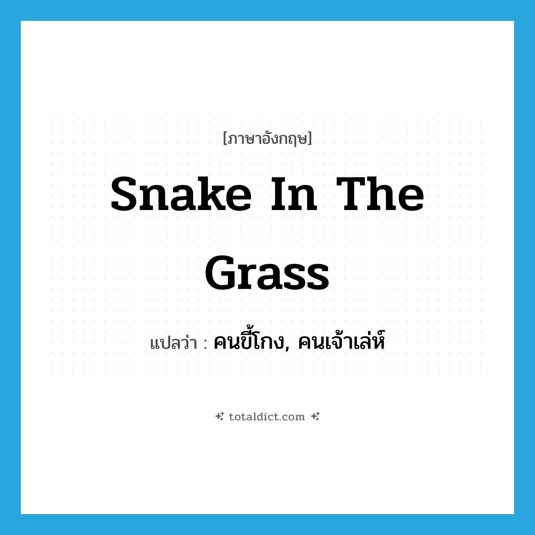 snake in the grass แปลว่า?, คำศัพท์ภาษาอังกฤษ snake in the grass แปลว่า คนขี้โกง, คนเจ้าเล่ห์ ประเภท IDM หมวด IDM