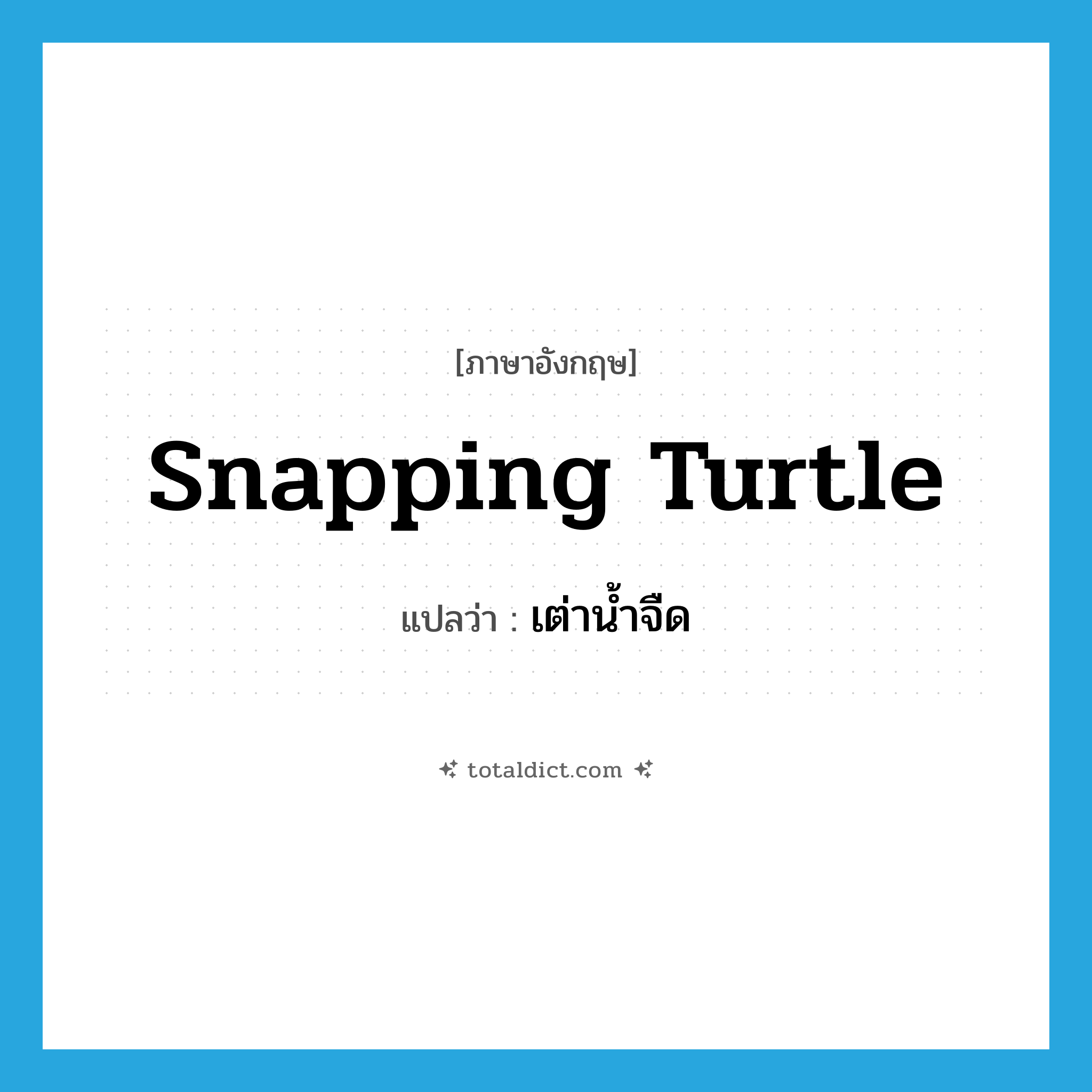 snapping turtle แปลว่า?, คำศัพท์ภาษาอังกฤษ snapping turtle แปลว่า เต่าน้ำจืด ประเภท N หมวด N