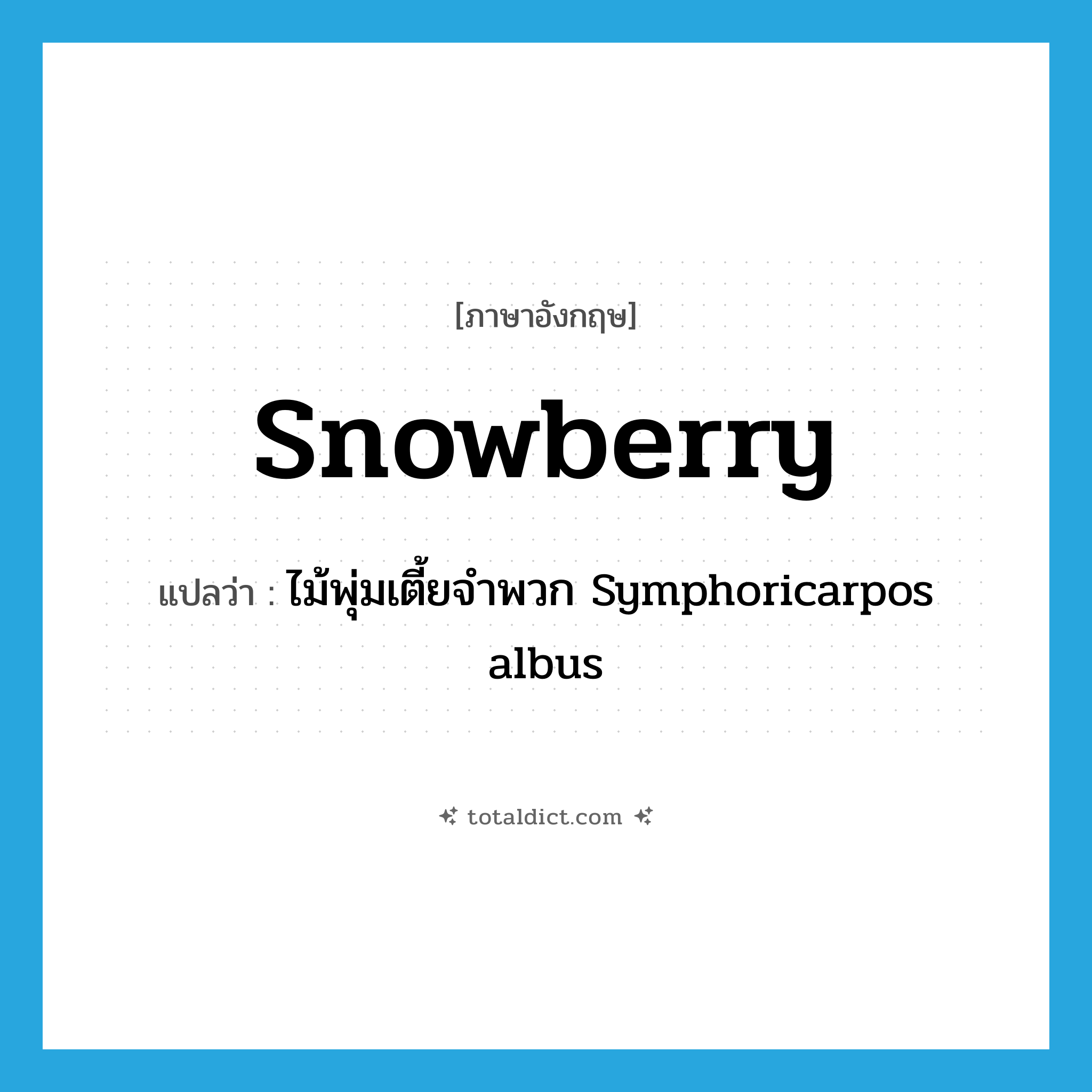 snowberry แปลว่า?, คำศัพท์ภาษาอังกฤษ snowberry แปลว่า ไม้พุ่มเตี้ยจำพวก Symphoricarpos albus ประเภท N หมวด N