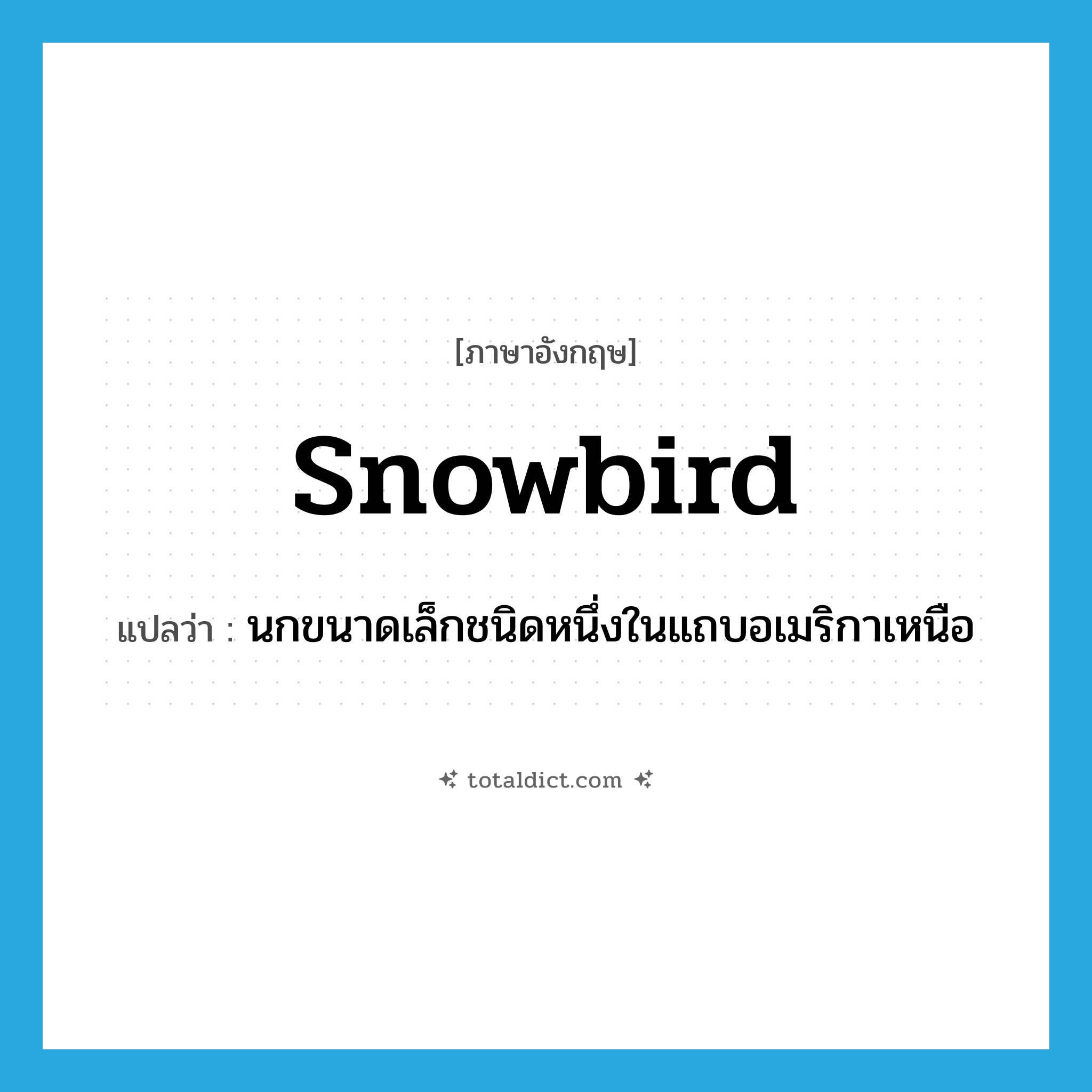 snowbird แปลว่า?, คำศัพท์ภาษาอังกฤษ snowbird แปลว่า นกขนาดเล็กชนิดหนึ่งในแถบอเมริกาเหนือ ประเภท N หมวด N