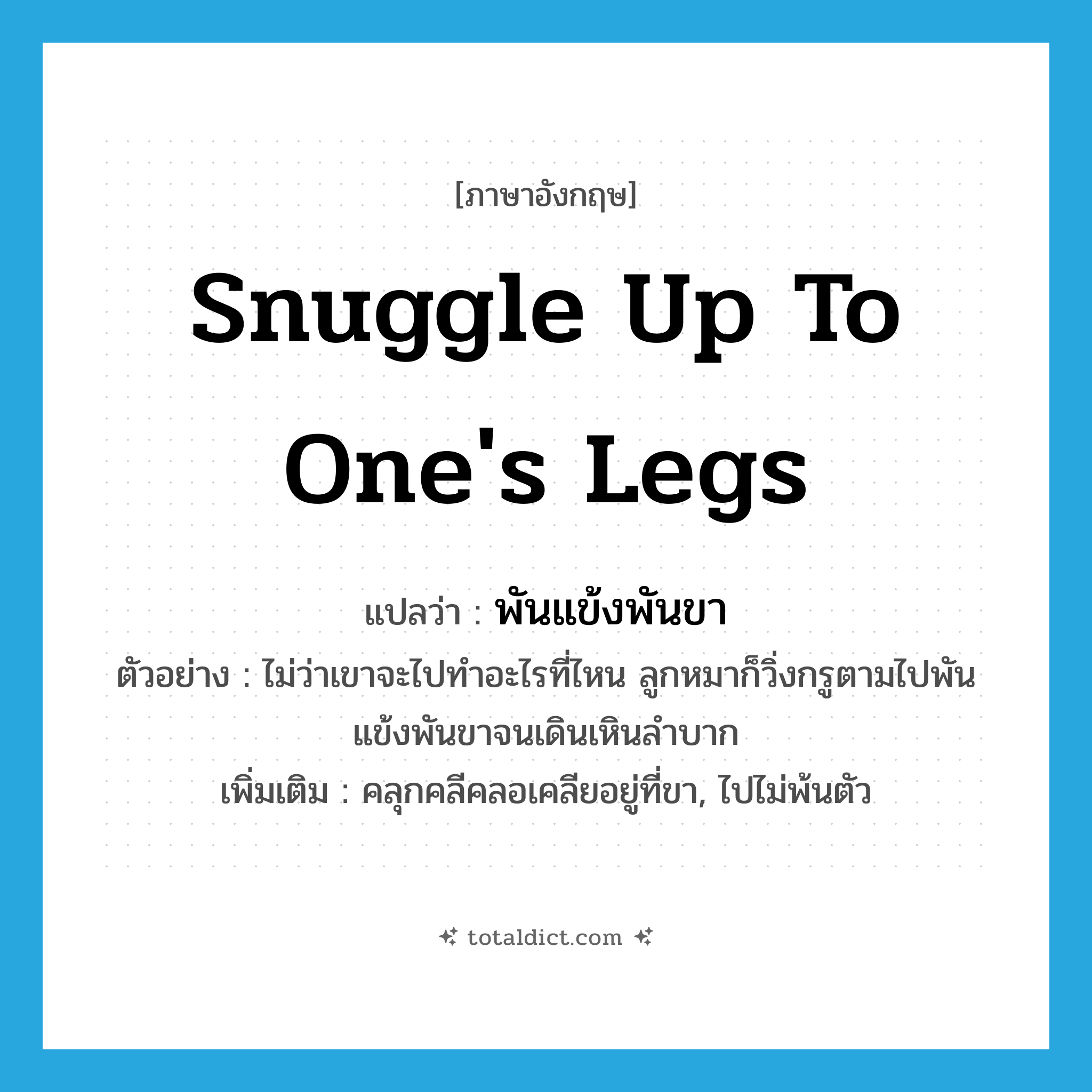snuggle up to one&#39;s legs แปลว่า?, คำศัพท์ภาษาอังกฤษ snuggle up to one&#39;s legs แปลว่า พันแข้งพันขา ประเภท V ตัวอย่าง ไม่ว่าเขาจะไปทำอะไรที่ไหน ลูกหมาก็วิ่งกรูตามไปพันแข้งพันขาจนเดินเหินลำบาก เพิ่มเติม คลุกคลีคลอเคลียอยู่ที่ขา, ไปไม่พ้นตัว หมวด V