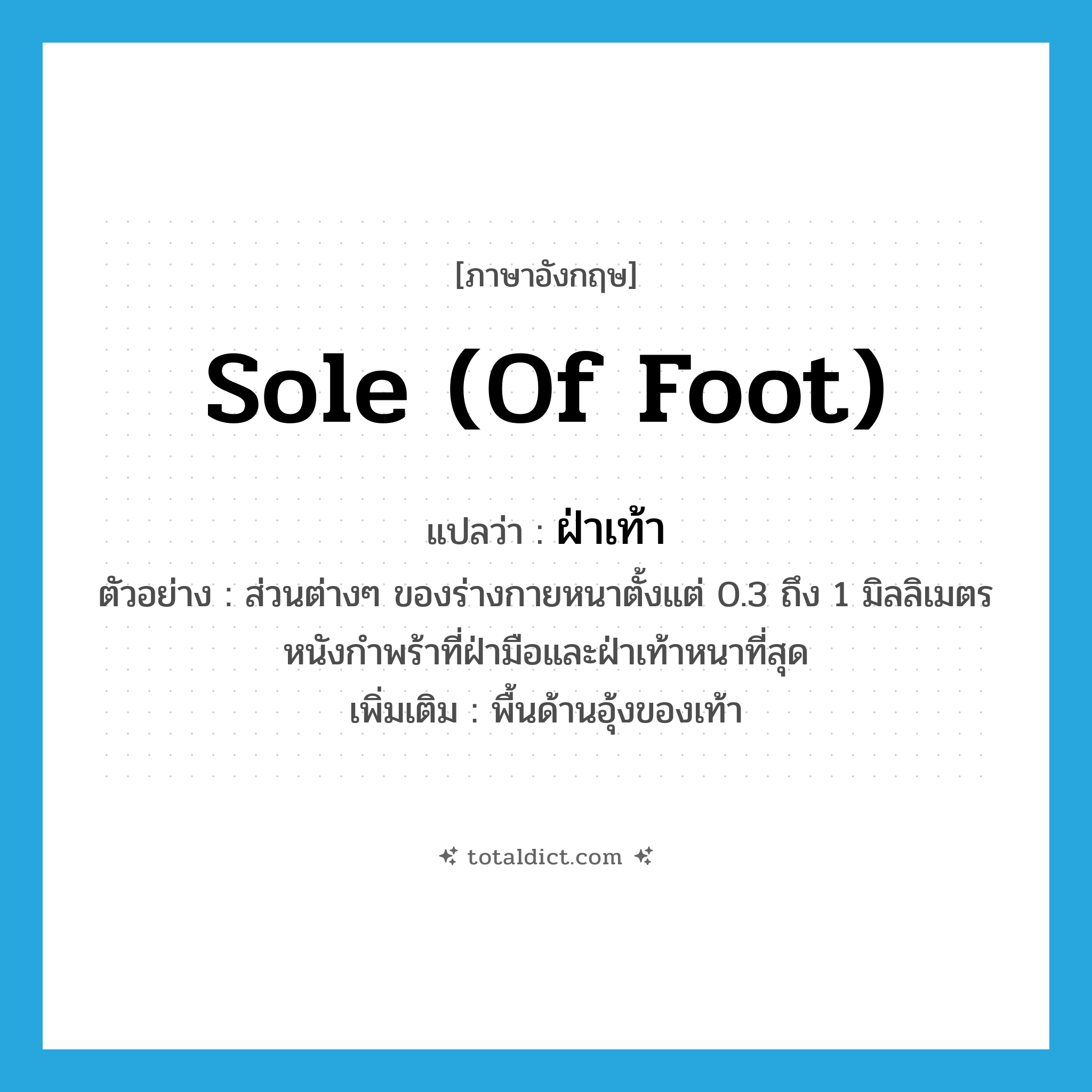 sole (of foot) แปลว่า?, คำศัพท์ภาษาอังกฤษ sole (of foot) แปลว่า ฝ่าเท้า ประเภท N ตัวอย่าง ส่วนต่างๆ ของร่างกายหนาตั้งแต่ 0.3 ถึง 1 มิลลิเมตร หนังกำพร้าที่ฝ่ามือและฝ่าเท้าหนาที่สุด เพิ่มเติม พื้นด้านอุ้งของเท้า หมวด N