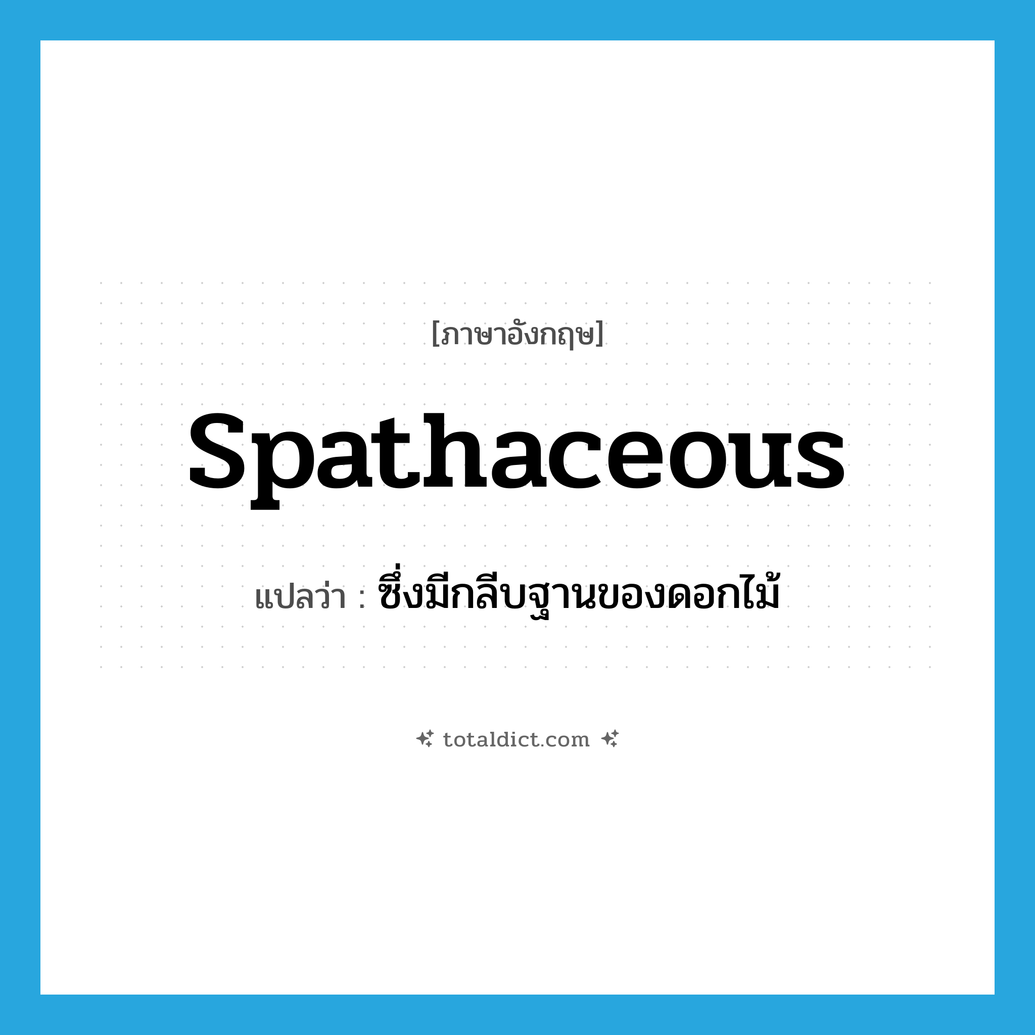spathaceous แปลว่า?, คำศัพท์ภาษาอังกฤษ spathaceous แปลว่า ซึ่งมีกลีบฐานของดอกไม้ ประเภท ADJ หมวด ADJ